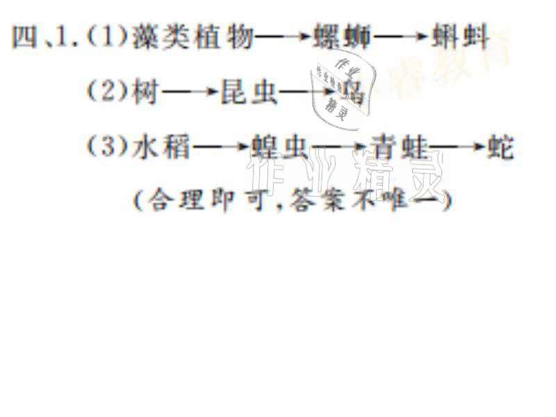 2021年湘岳假期寒假作业五年级科学教科版 参考答案第8页