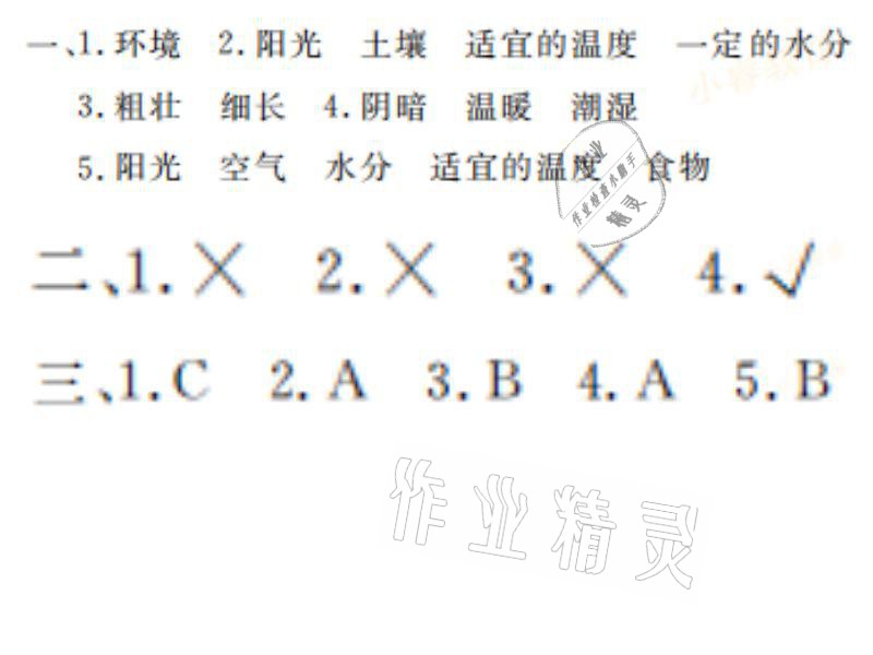 2021年湘岳假期寒假作业五年级科学教科版 参考答案第4页