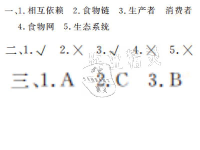 2021年湘岳假期寒假作业五年级科学教科版 参考答案第7页