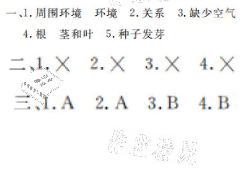 2021年湘岳假期寒假作业五年级科学教科版 参考答案第1页