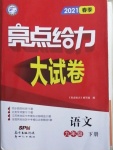 2021年亮點(diǎn)給力大試卷九年級語文下冊