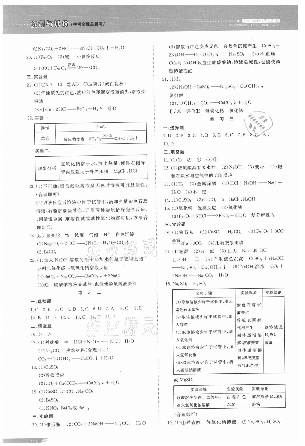 2021年資源與評價中考全程總復習化學B版 參考答案第9頁