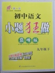 2021年初中語文小題狂做九年級下冊人教版巔峰版