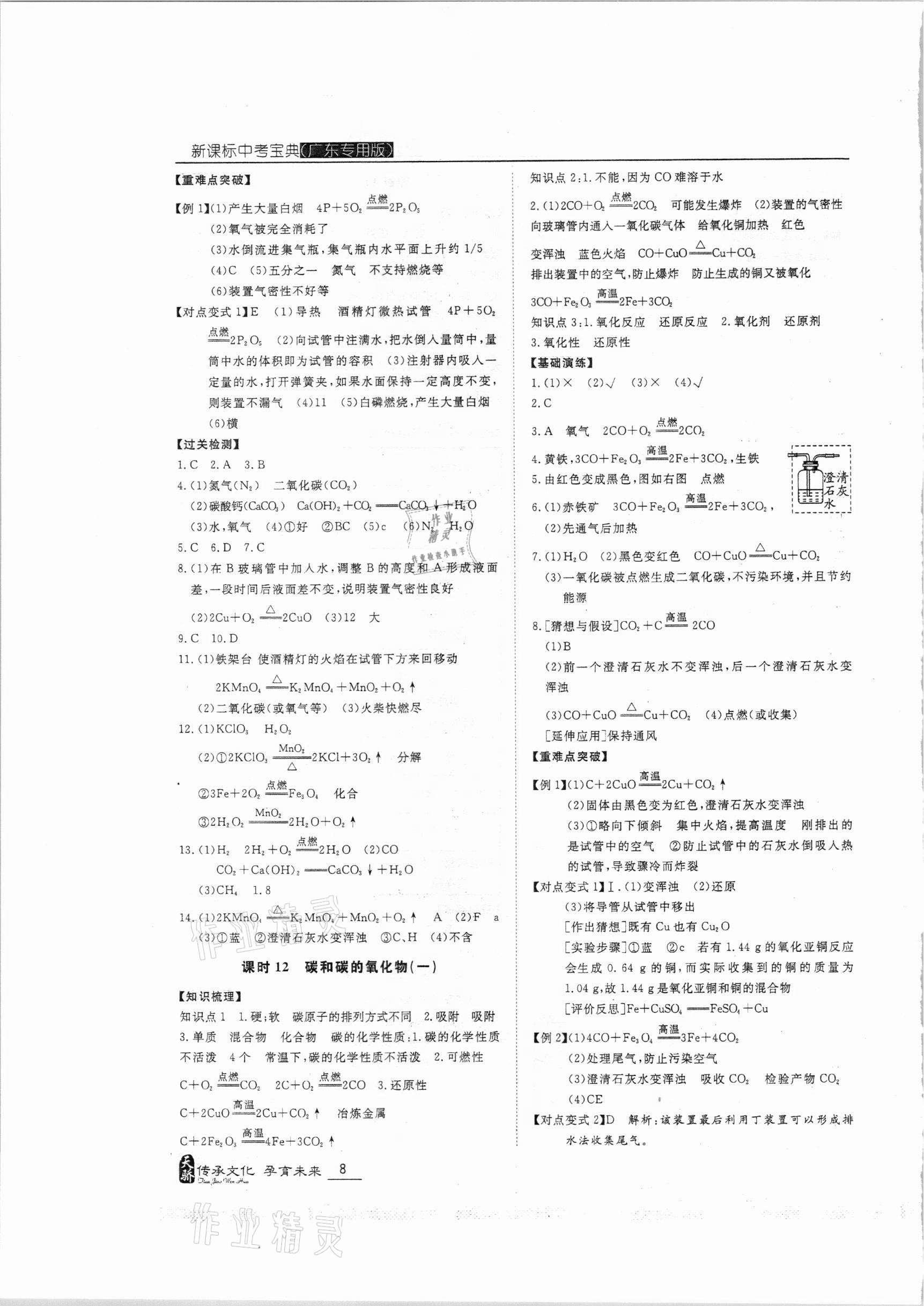 2021年新課標(biāo)中考寶典化學(xué)廣東專用 第8頁