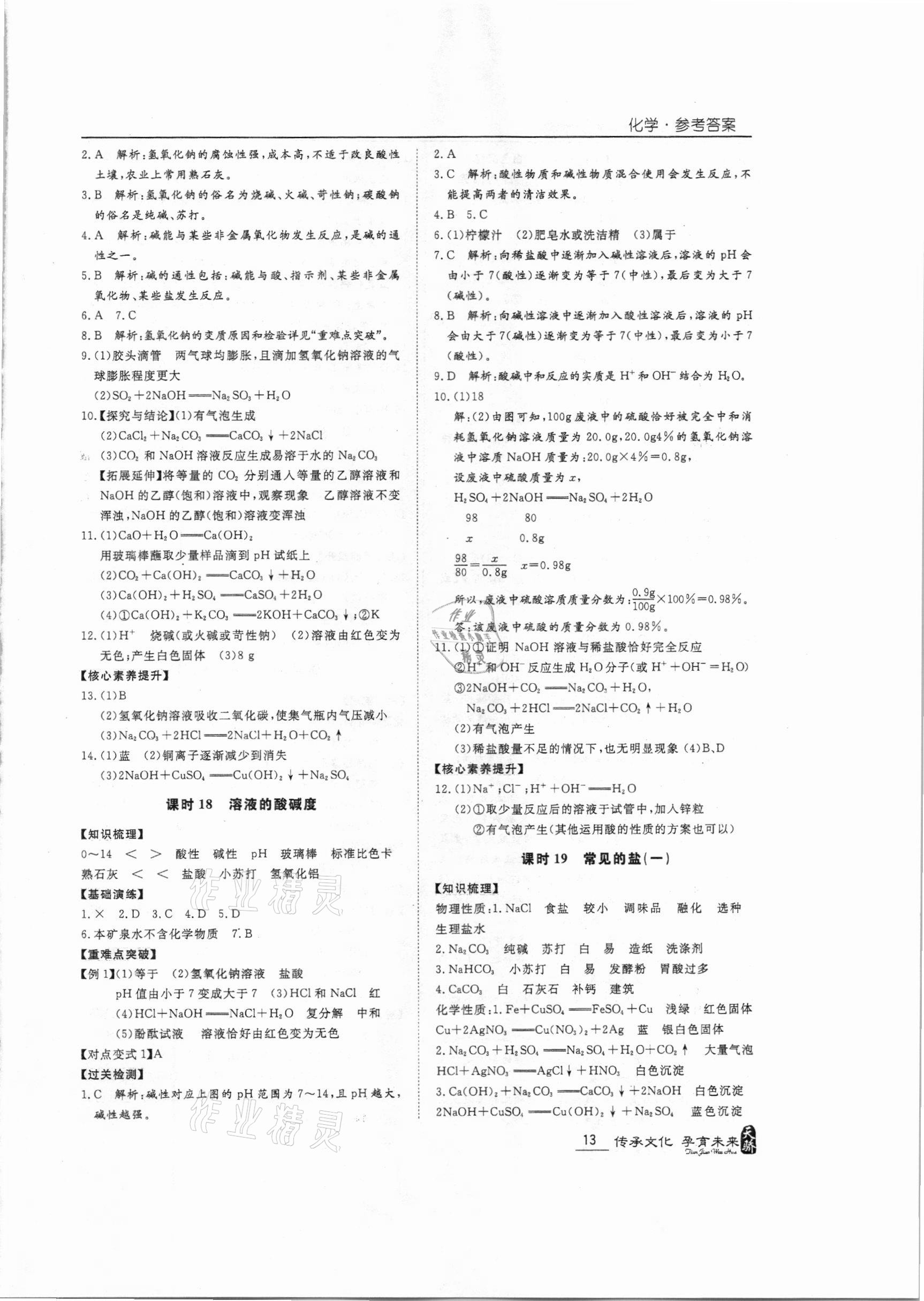 2021年新課標中考寶典化學(xué)廣東專用 第13頁