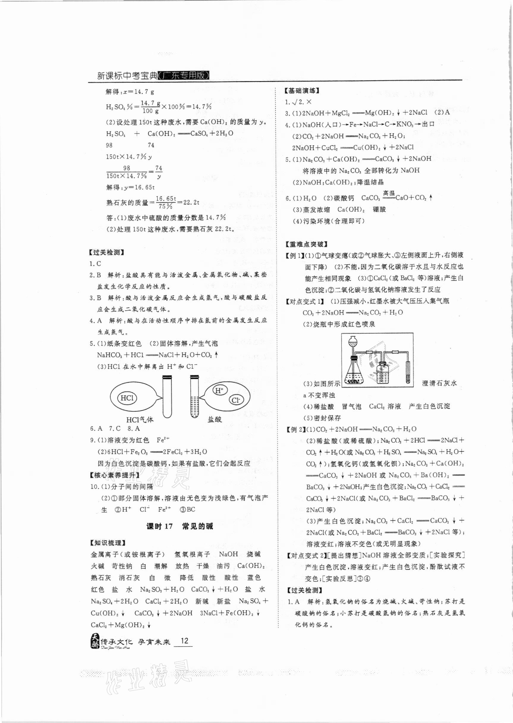 2021年新課標中考寶典化學廣東專用 第12頁