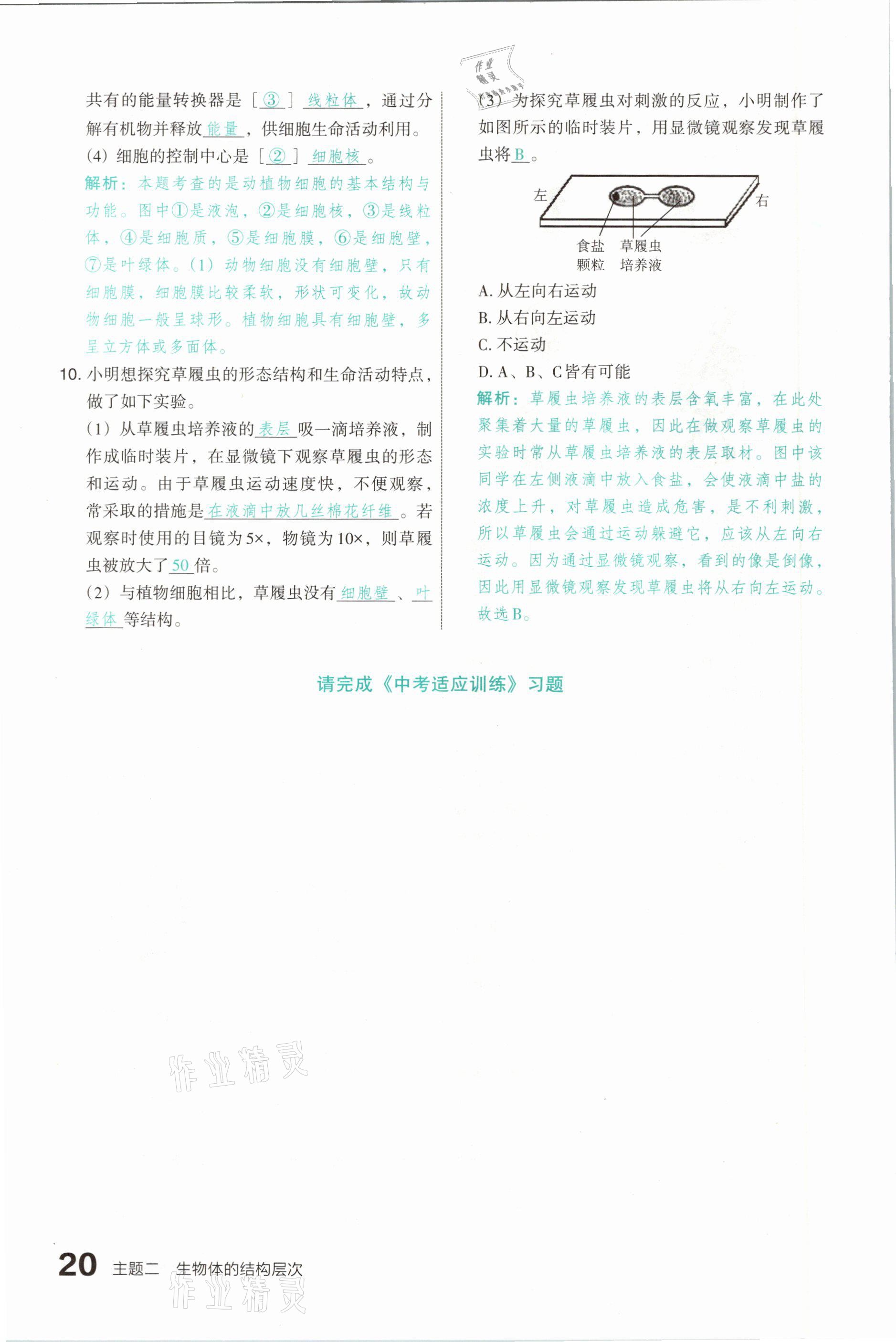 2021年滾動(dòng)遷移中考總復(fù)習(xí)生物學(xué)山西專(zhuān)版 參考答案第20頁(yè)