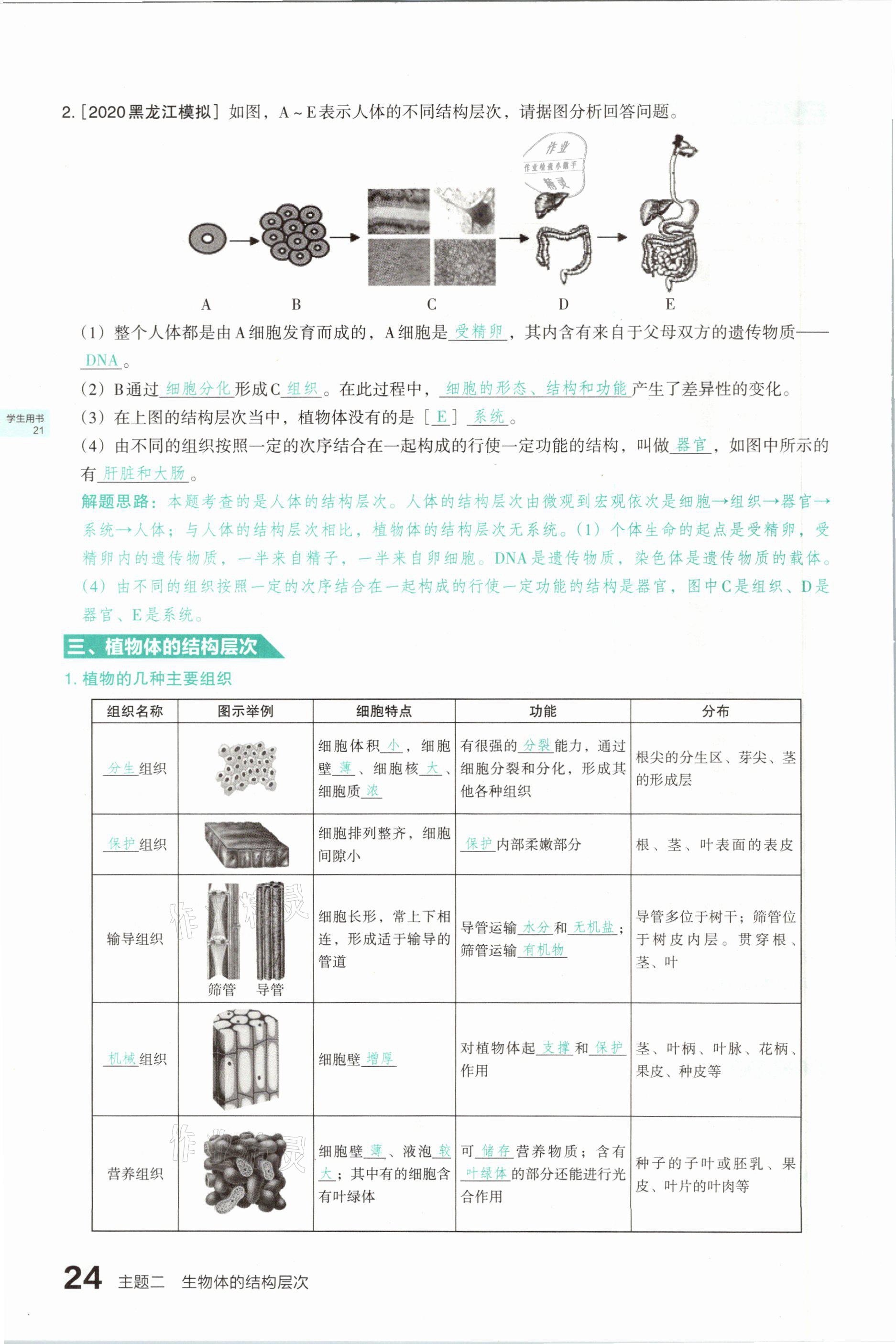 2021年滾動遷移中考總復(fù)習(xí)生物學(xué)山西專版 參考答案第24頁