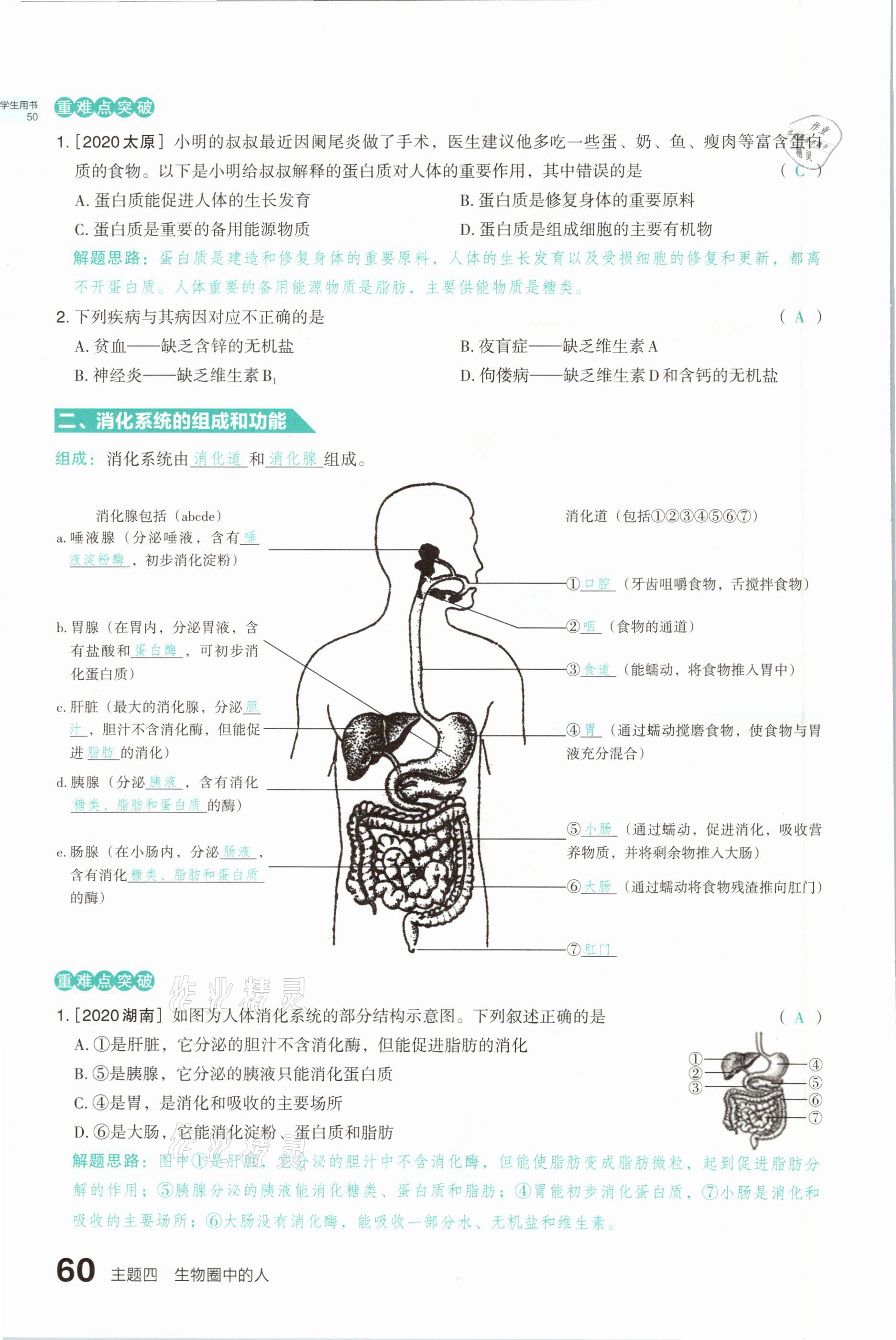 2021年滾動(dòng)遷移中考總復(fù)習(xí)生物學(xué)山西專版 參考答案第60頁(yè)