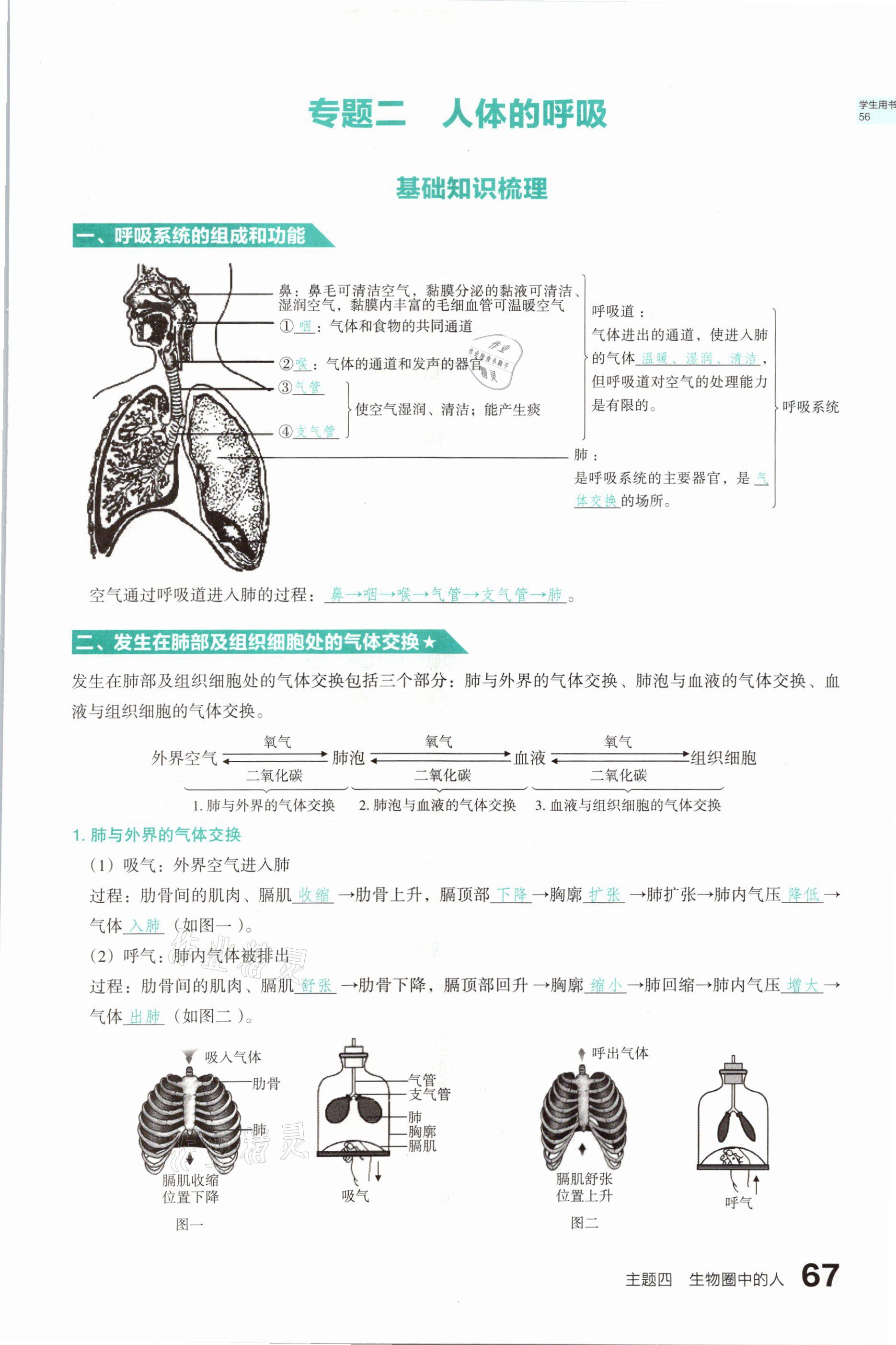 2021年滾動(dòng)遷移中考總復(fù)習(xí)生物學(xué)山西專版 參考答案第67頁