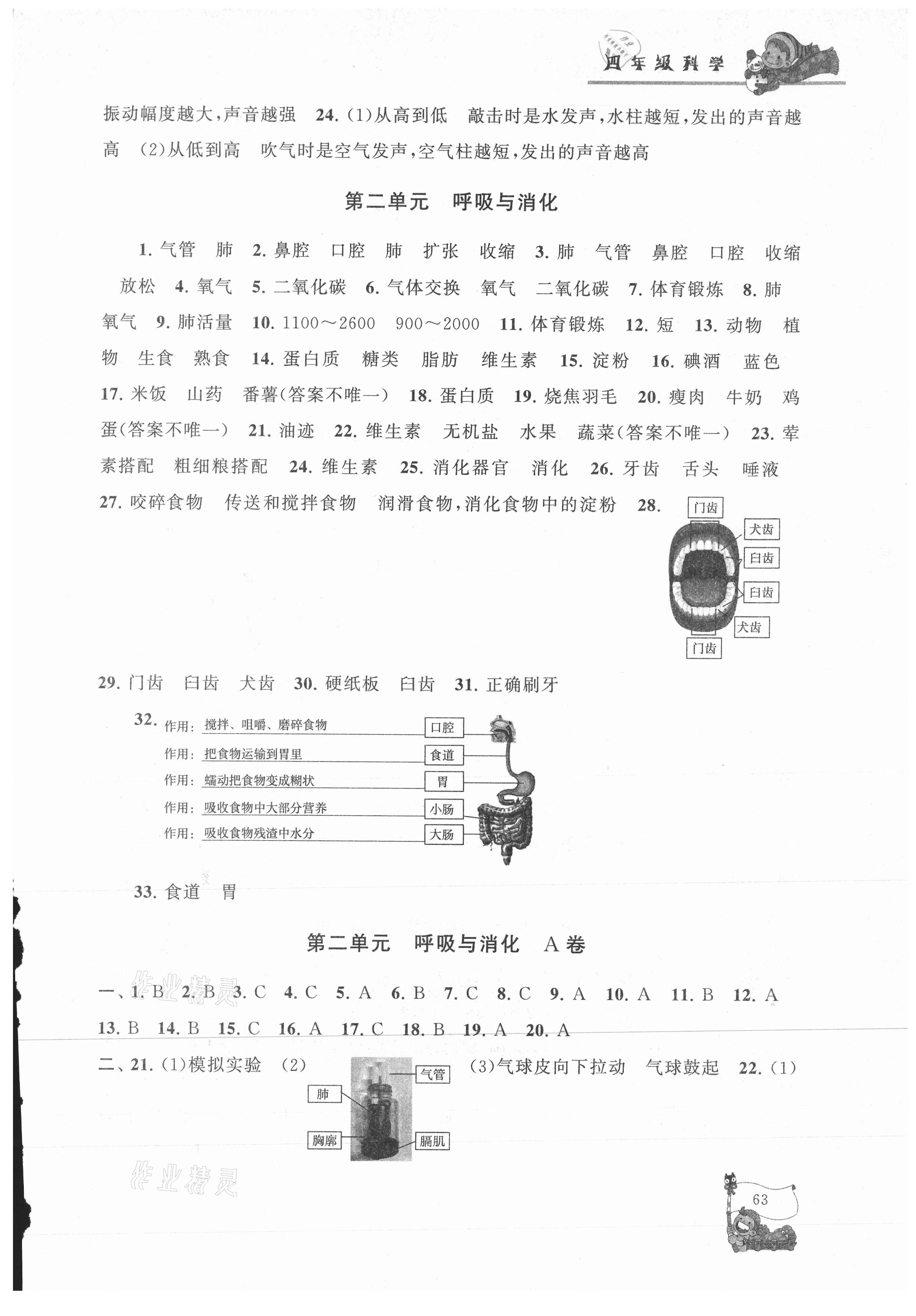 2021年寒假大串联四年级科学教科版黄山书社 参考答案第2页