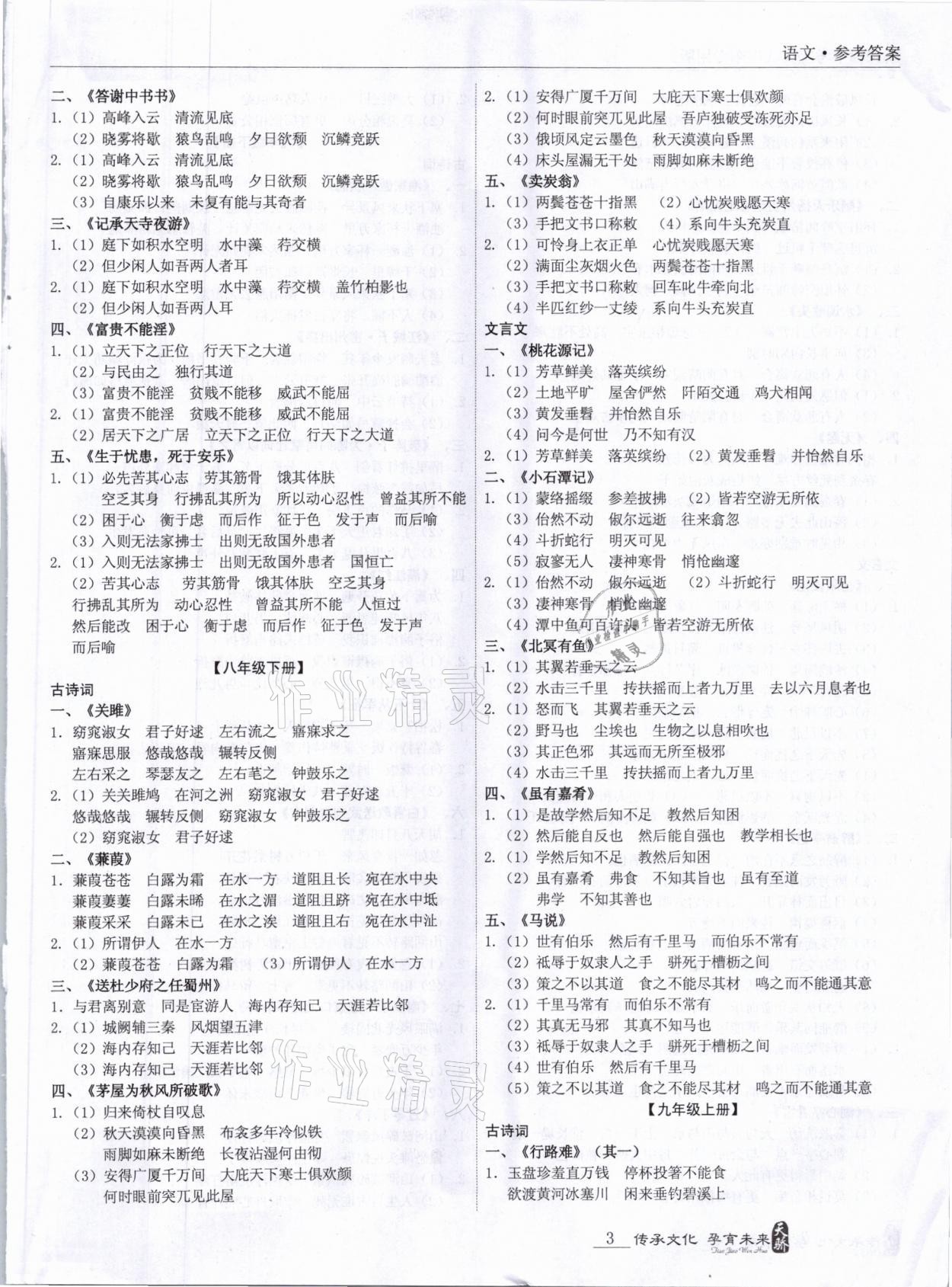 2021年新课标中考宝典语文广东专用 参考答案第3页