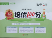 2021年王朝霞培優(yōu)100分六年級數(shù)學下冊人教版