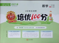 2021年王朝霞培优100分二年级数学下册人教版