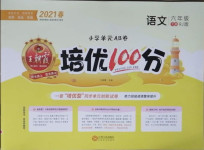 2021年王朝霞培優(yōu)100分六年級(jí)語文下冊(cè)人教版