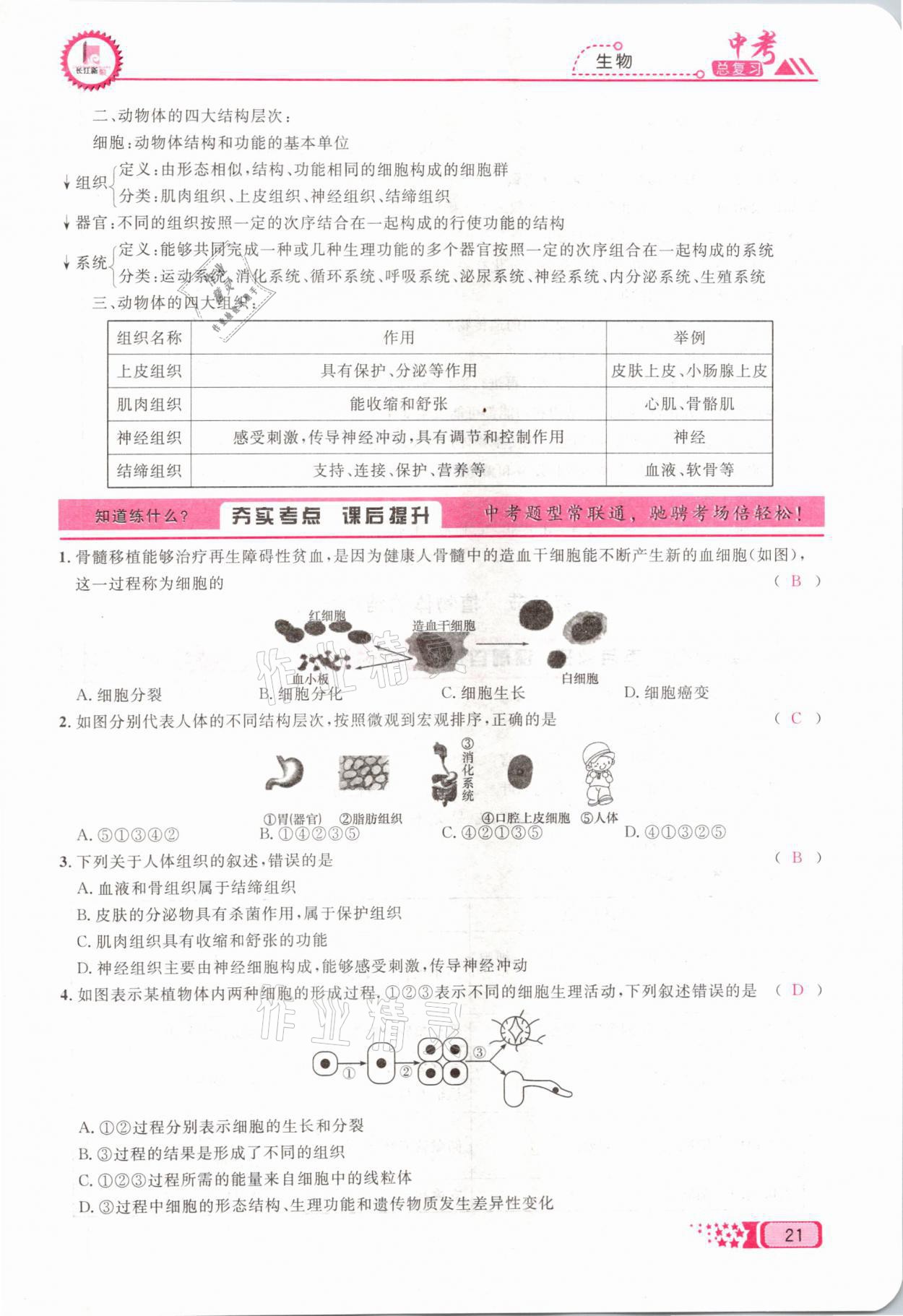 2021年中考命題調(diào)研生物 參考答案第21頁(yè)