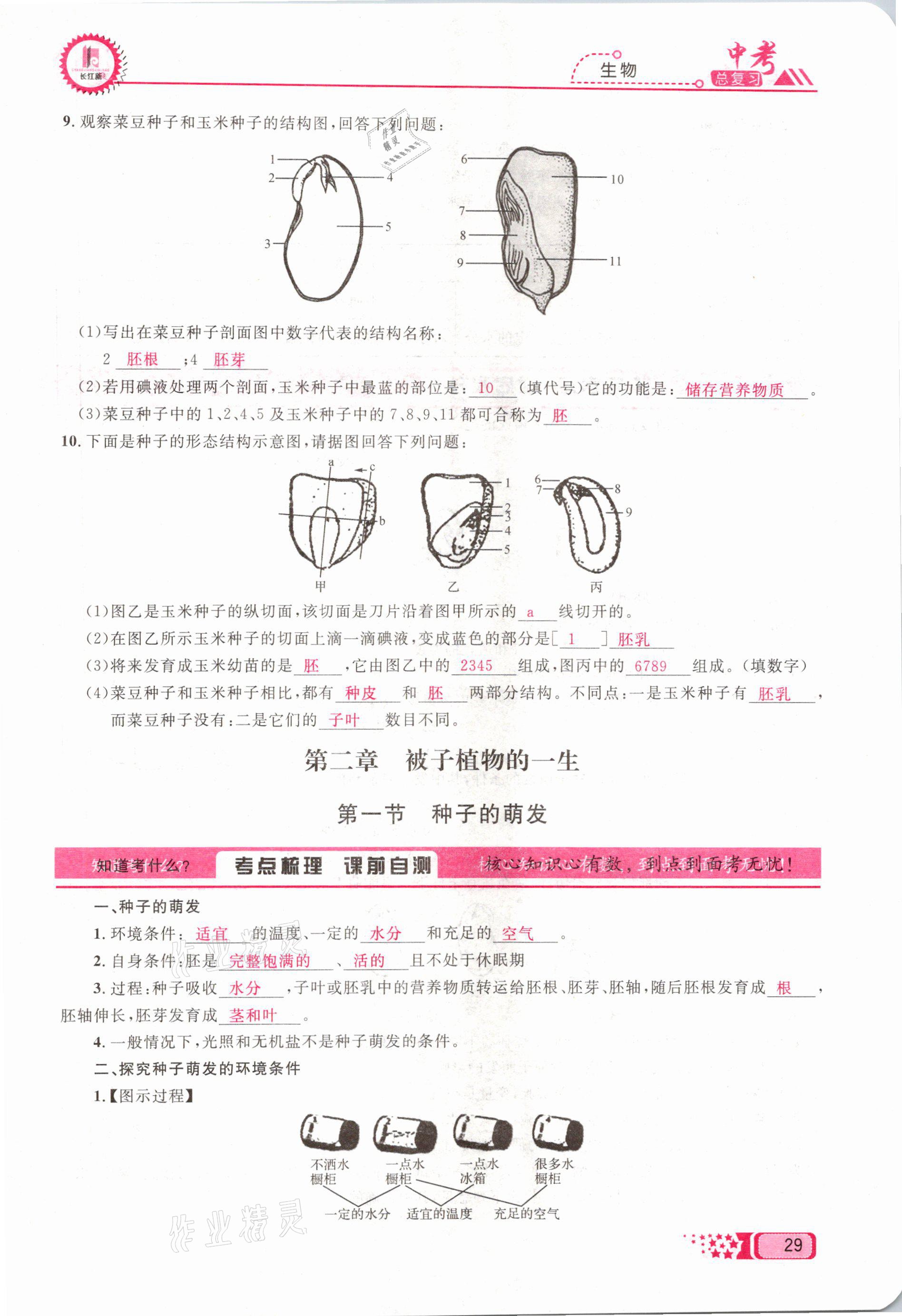 2021年中考命題調(diào)研生物 參考答案第29頁