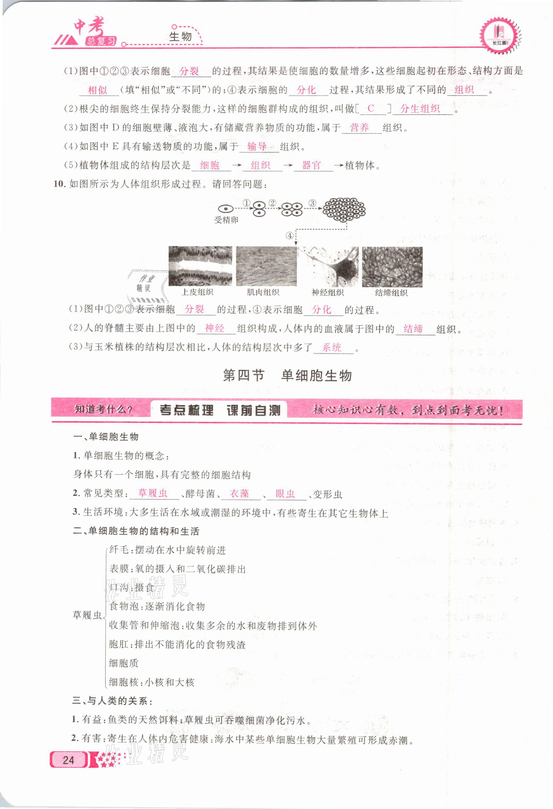 2021年中考命題調(diào)研生物 參考答案第24頁