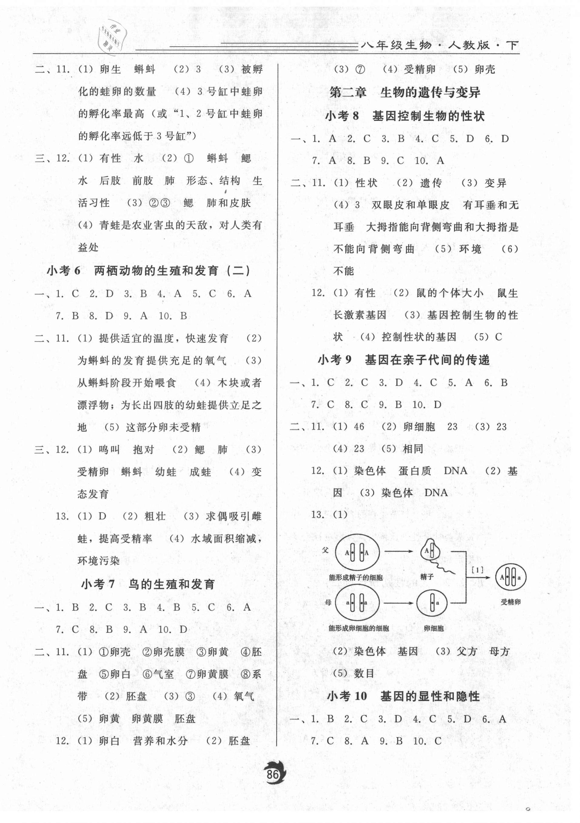 2021年隨堂小考八年級生物下冊人教版 第2頁