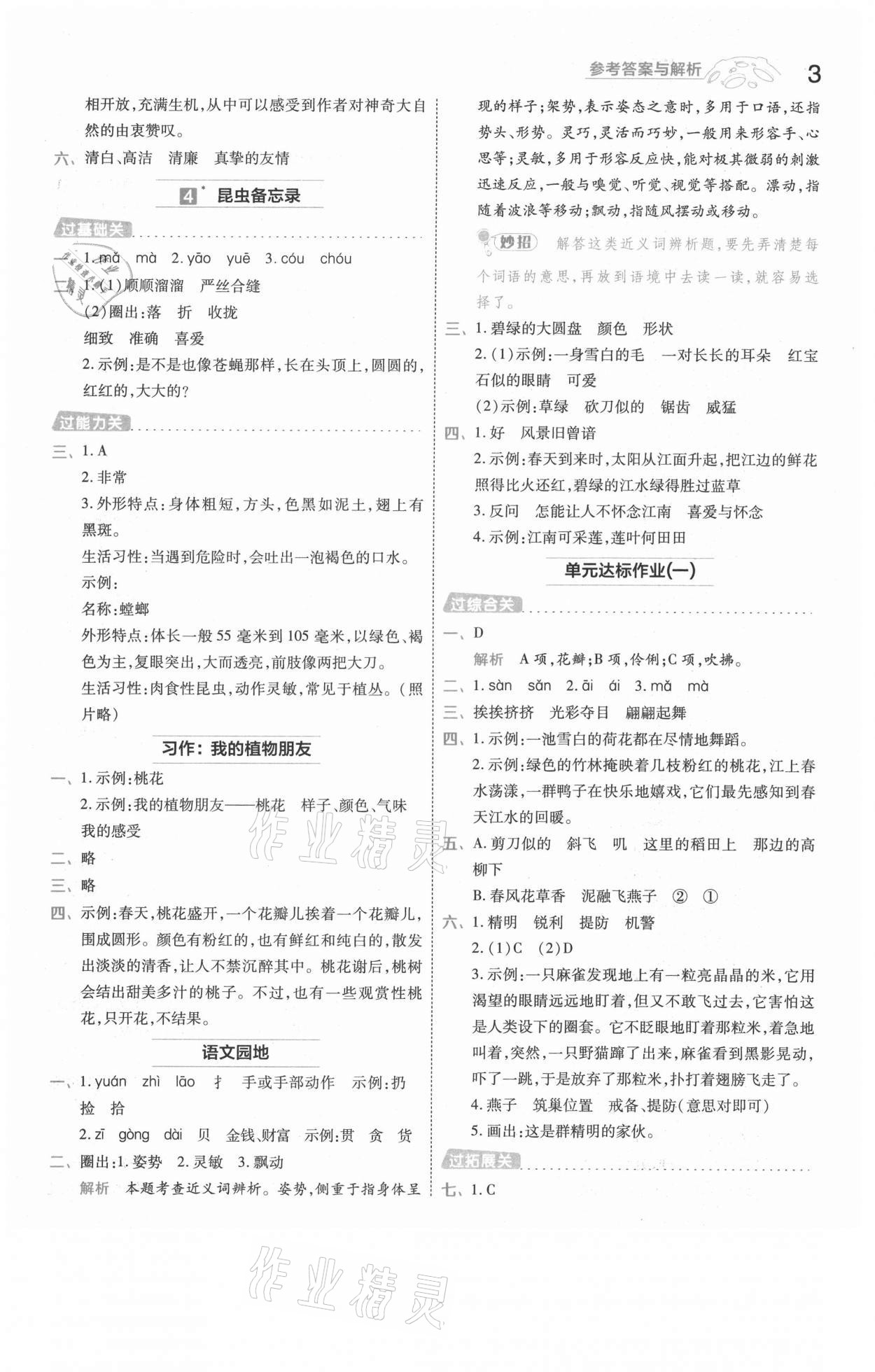 2021年一遍過三年級(jí)語文下冊(cè)人教版浙江專版 參考答案第3頁