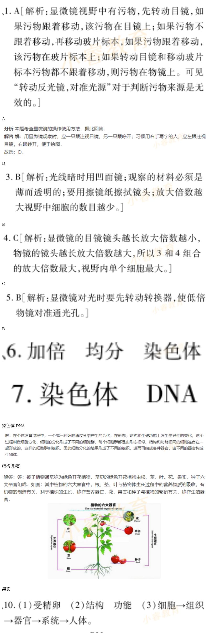 2021年寒假樂(lè)園七年級(jí)廣東人民出版社 參考答案第28頁(yè)