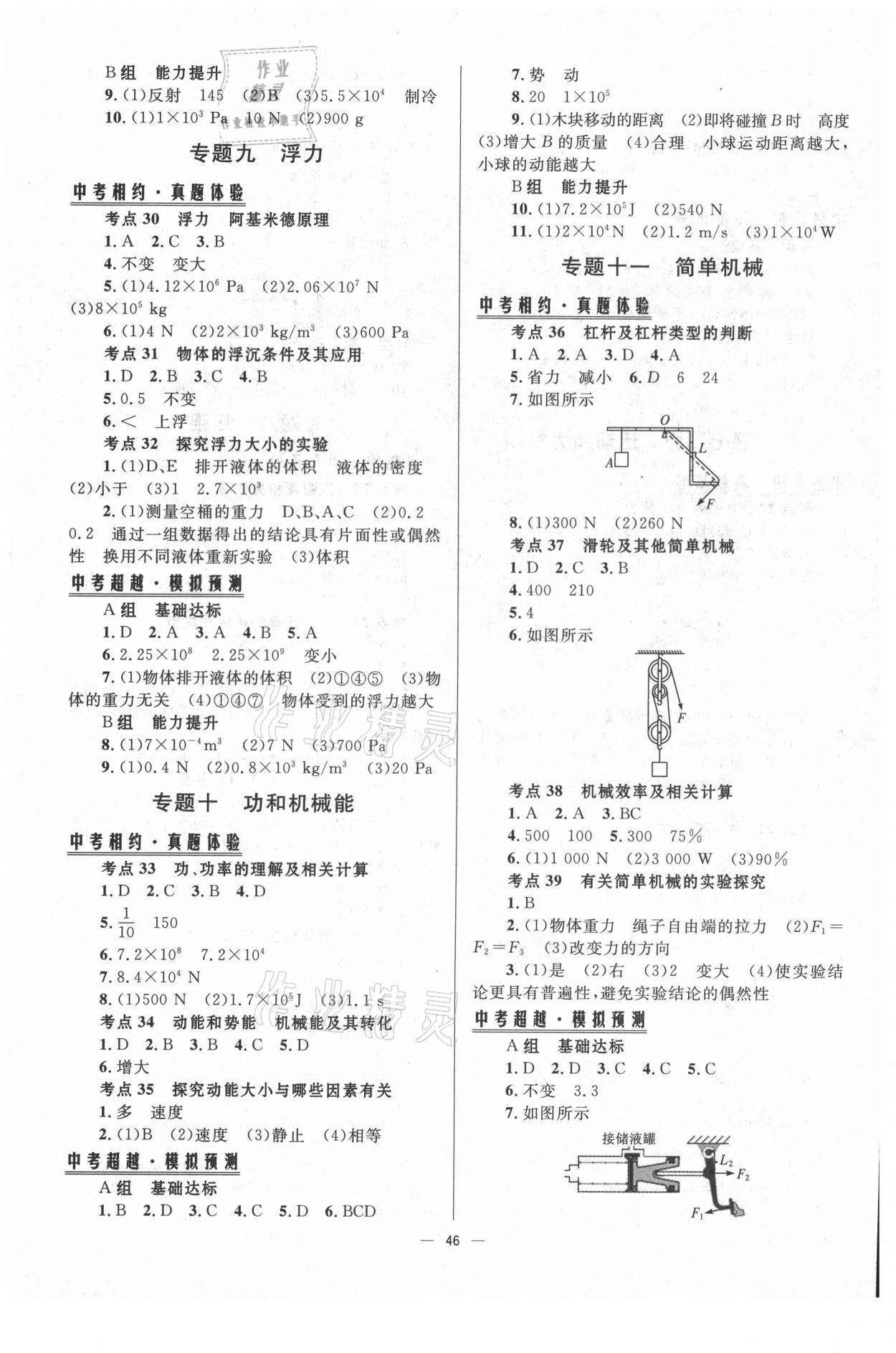 2021年初中總復(fù)習(xí)手冊物理北京師范大學(xué)出版社 第4頁