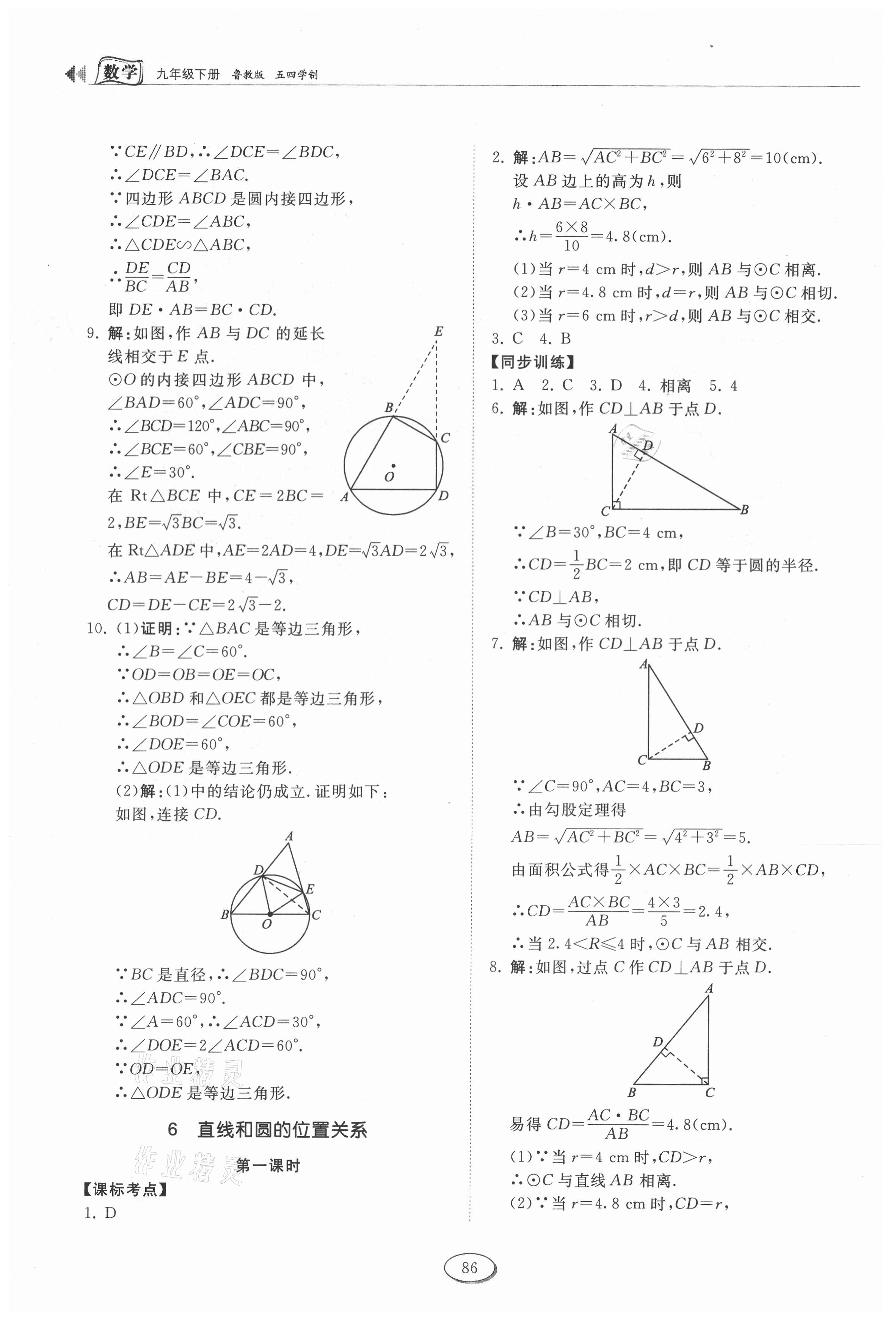 2021年初中同步練習(xí)冊九年級數(shù)學(xué)下冊魯教版54制山東科學(xué)技術(shù)出版社 第8頁