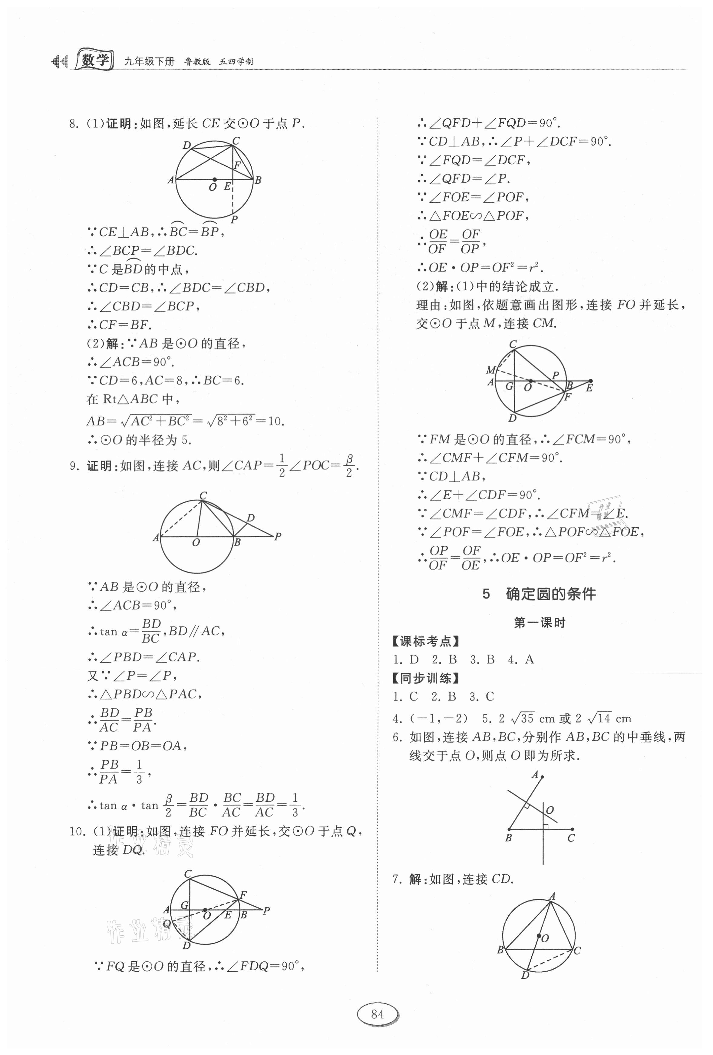 2021年初中同步練習(xí)冊九年級數(shù)學(xué)下冊魯教版54制山東科學(xué)技術(shù)出版社 第6頁