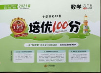 2021年王朝霞培优100分六年级数学下册北师大版