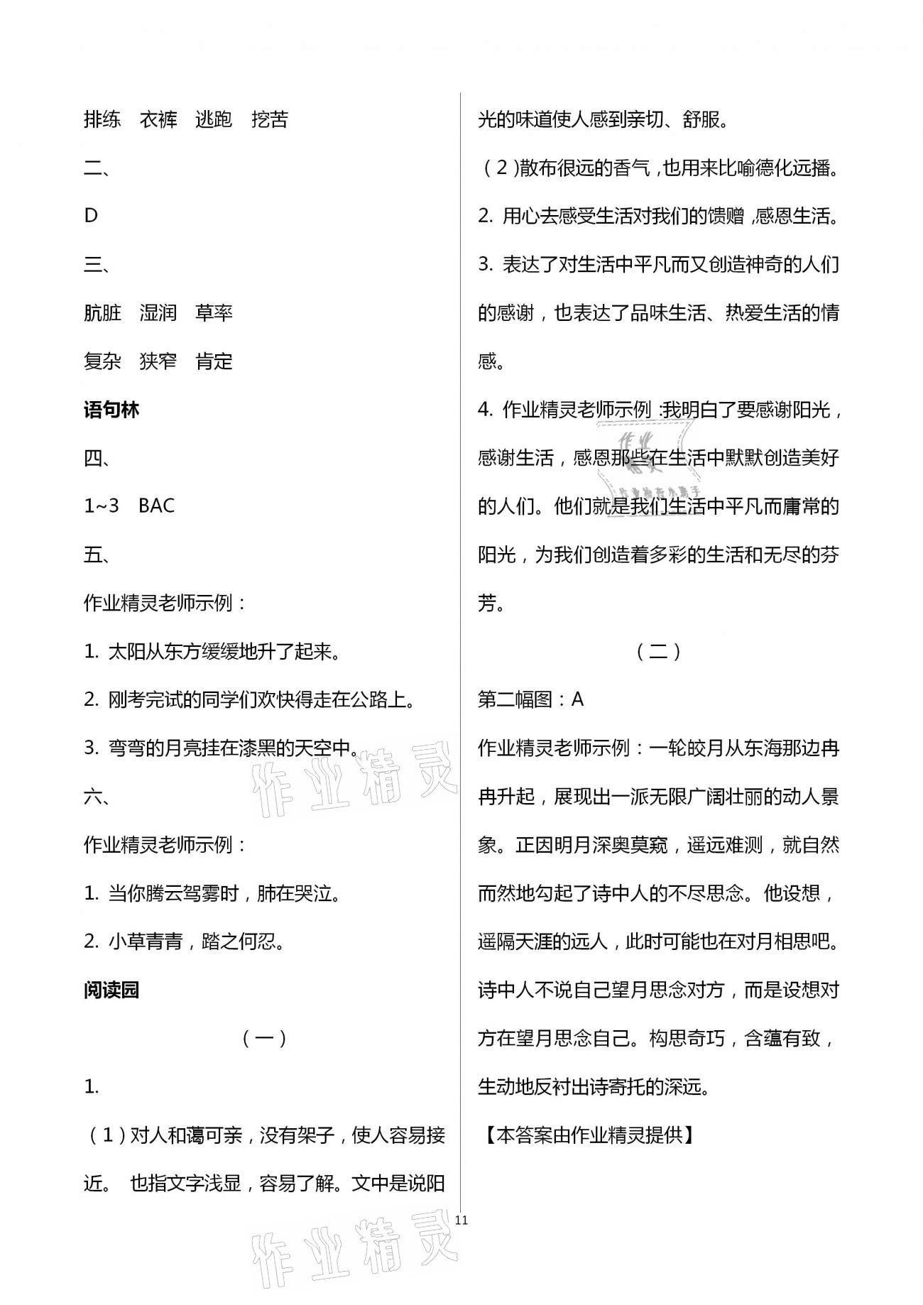 2021年寒假作业四年级人教版河南专版延边教育出版社 第11页