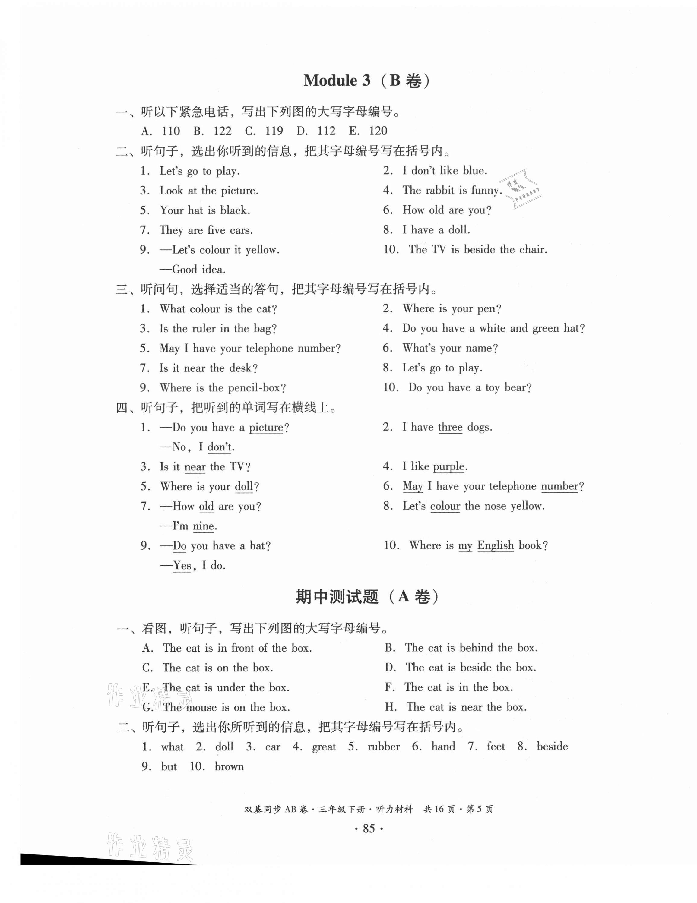2021年小學英語雙基同步AB卷三年級下冊教科版廣州專版 參考答案第5頁