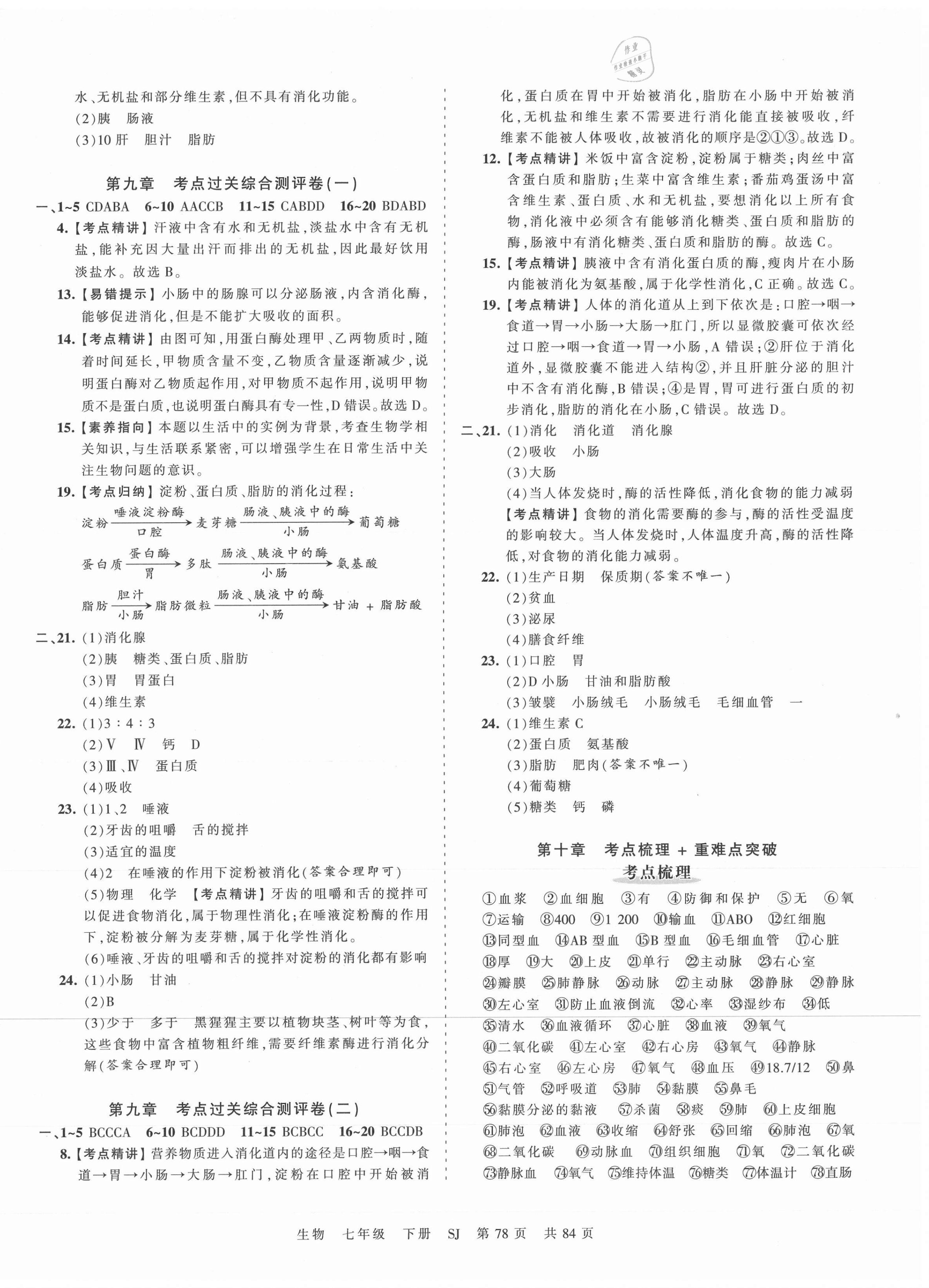 2021年王朝霞考點梳理時習(xí)卷七年級生物下冊蘇教版 第2頁