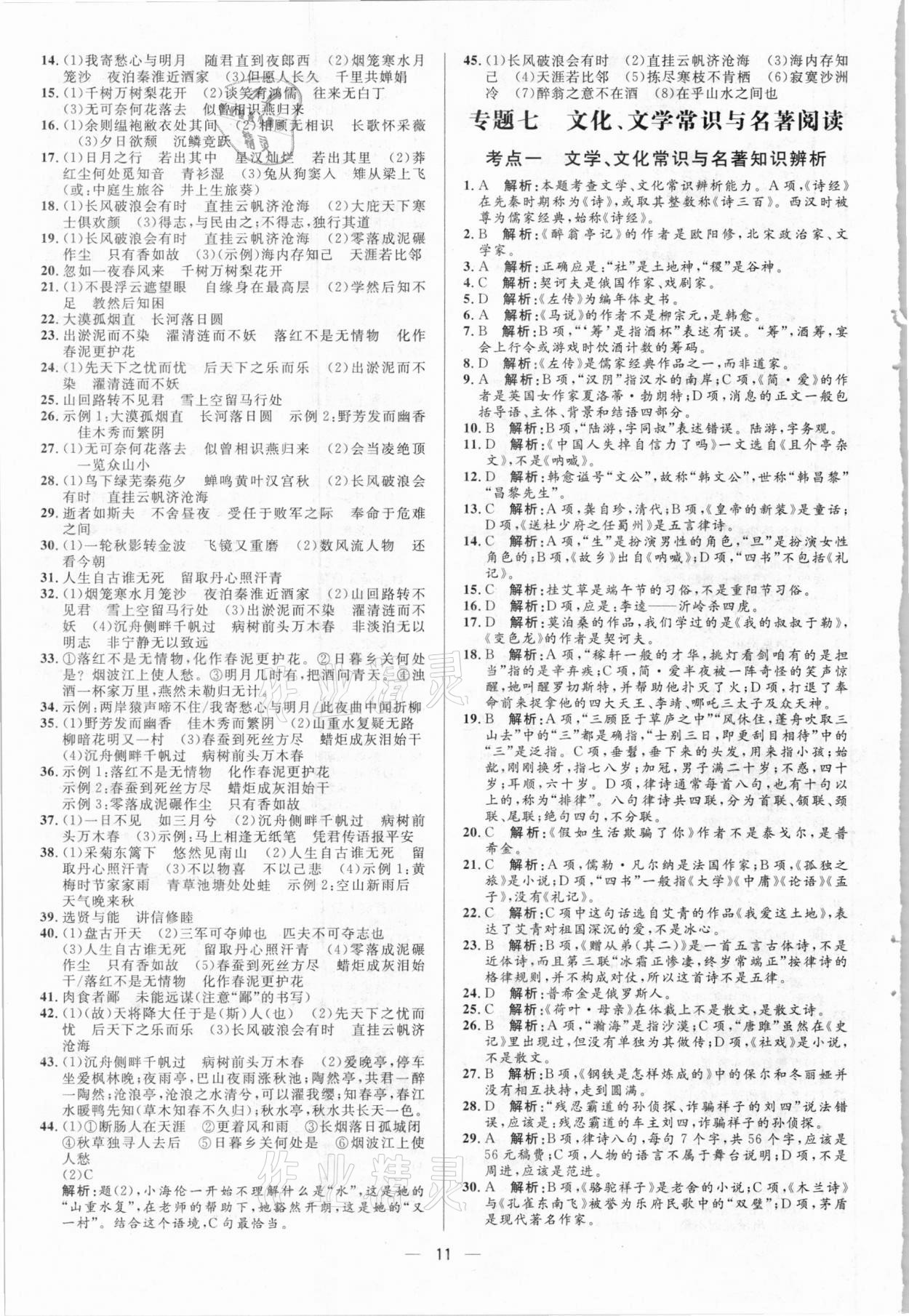 2021年正大圖書中考真題分類卷語文 參考答案第11頁