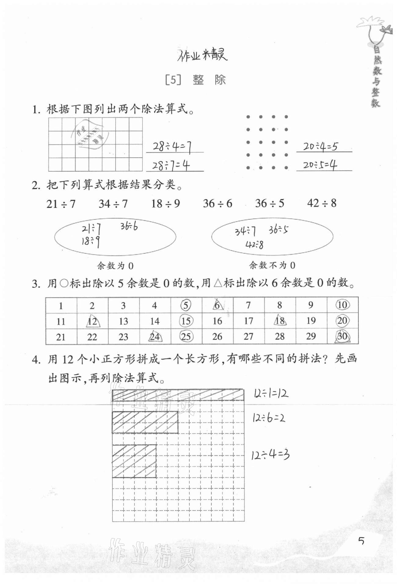 2021年基礎(chǔ)天天練四年級數(shù)學下冊浙教版 參考答案第5頁