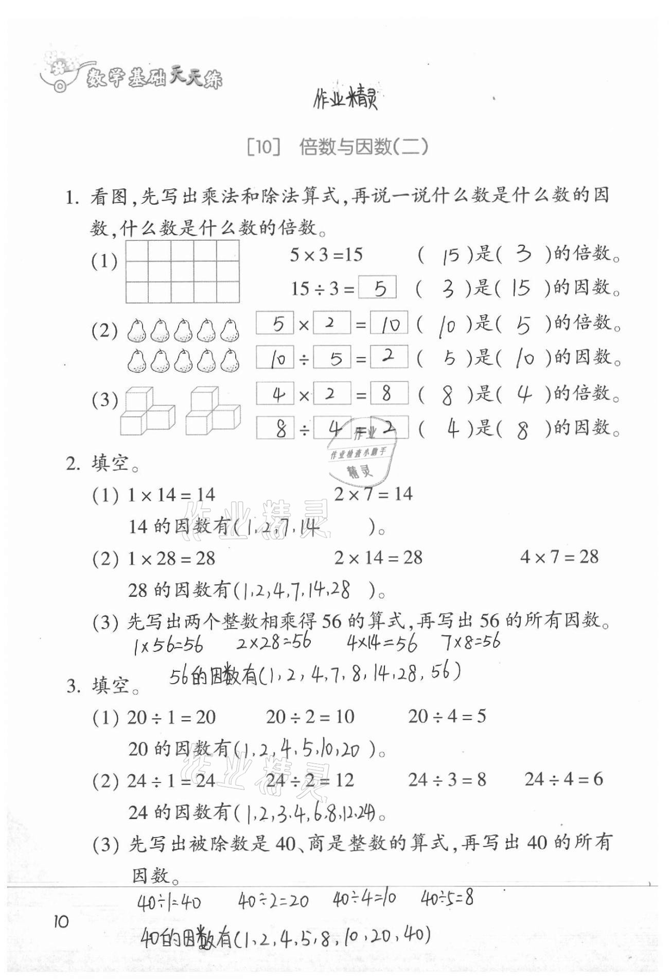 2021年基礎(chǔ)天天練四年級數(shù)學下冊浙教版 參考答案第10頁