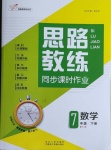 2021年思路教練同步課時作業(yè)七年級數(shù)學下冊人教版