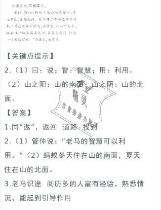 2021年寒假作业五年级语文人教版陕西人民教育出版社 参考答案第9页