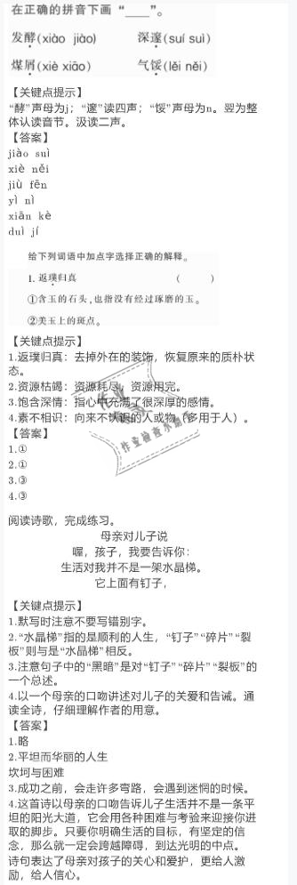 2021年寒假作业六年级语文人教版陕西人民教育出版社 参考答案第11页