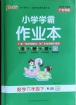 2021年小學(xué)學(xué)霸作業(yè)本六年級數(shù)學(xué)下冊人教版廣東專版