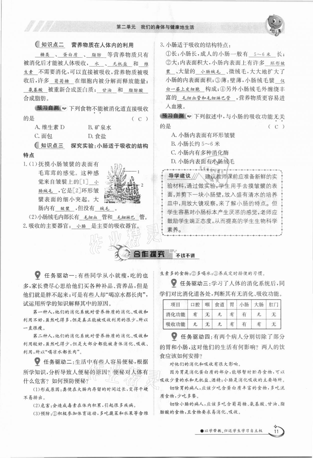 2021年金太阳导学测评七年级生物下册冀少版 参考答案第11页