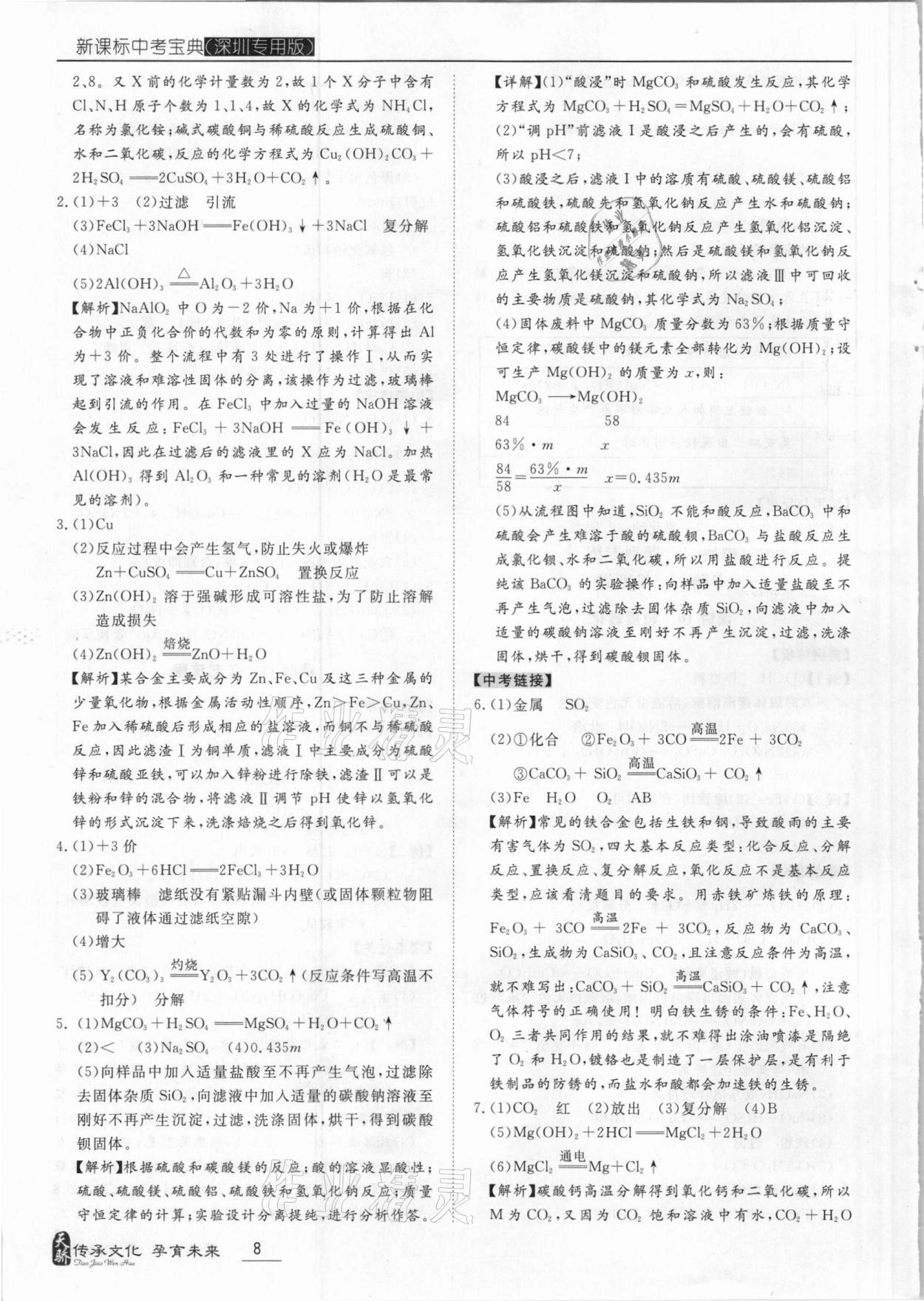 2021年新課標(biāo)中考寶典化學(xué)深圳專用版 第8頁