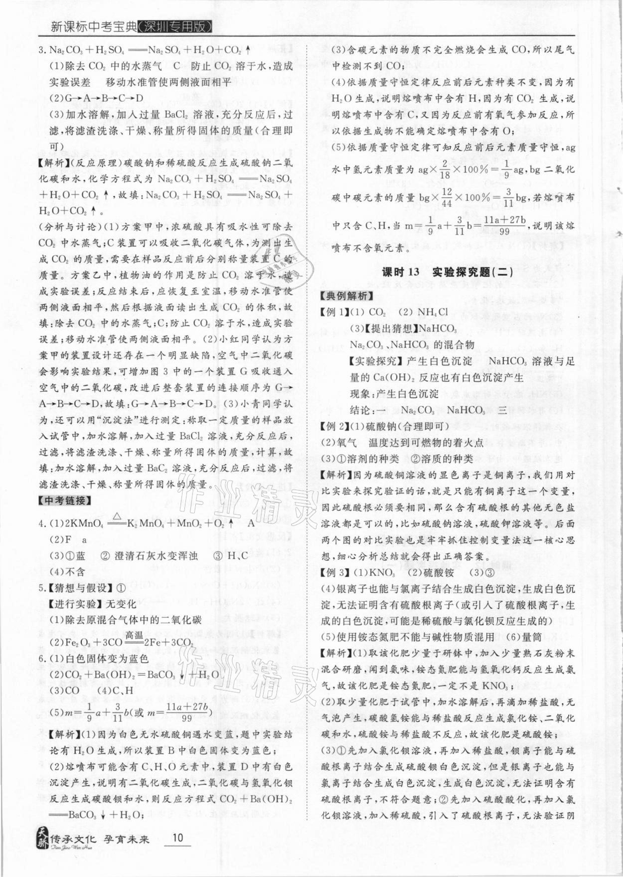 2021年新課標(biāo)中考寶典化學(xué)深圳專用版 第10頁(yè)