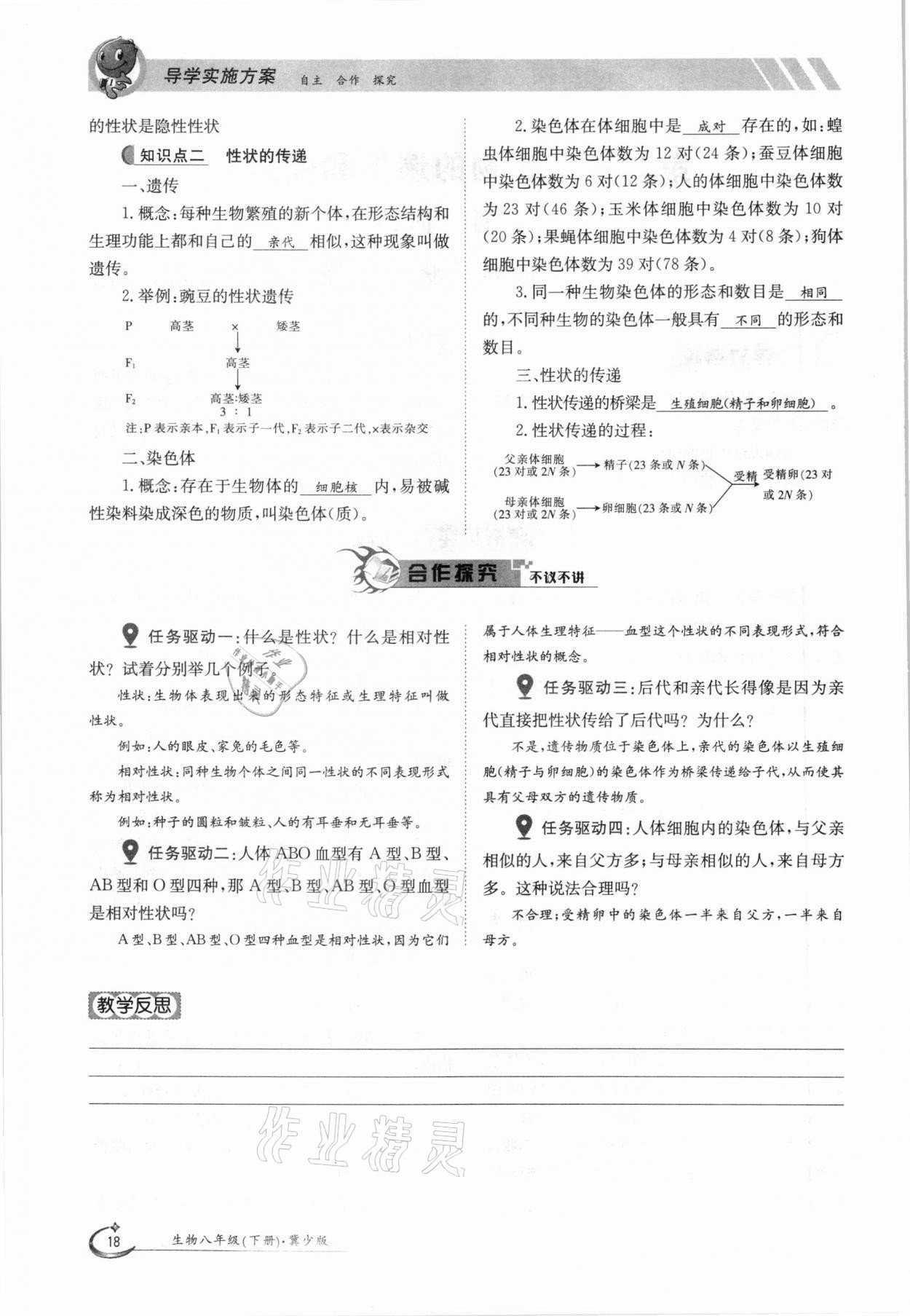 2021年金太陽導學測評八年級生物下冊冀少版 參考答案第18頁