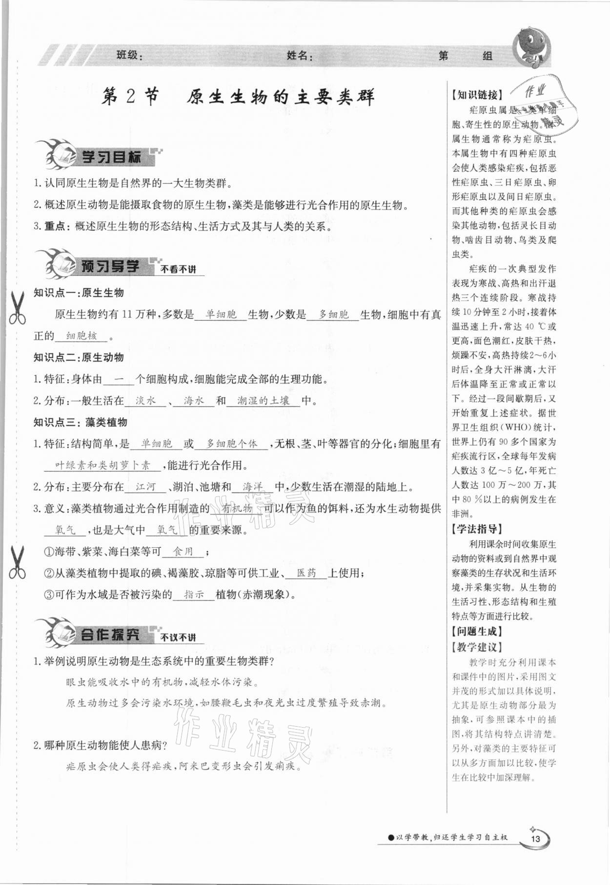 2021年金太陽導學測評八年級生物下冊北師大版 參考答案第13頁