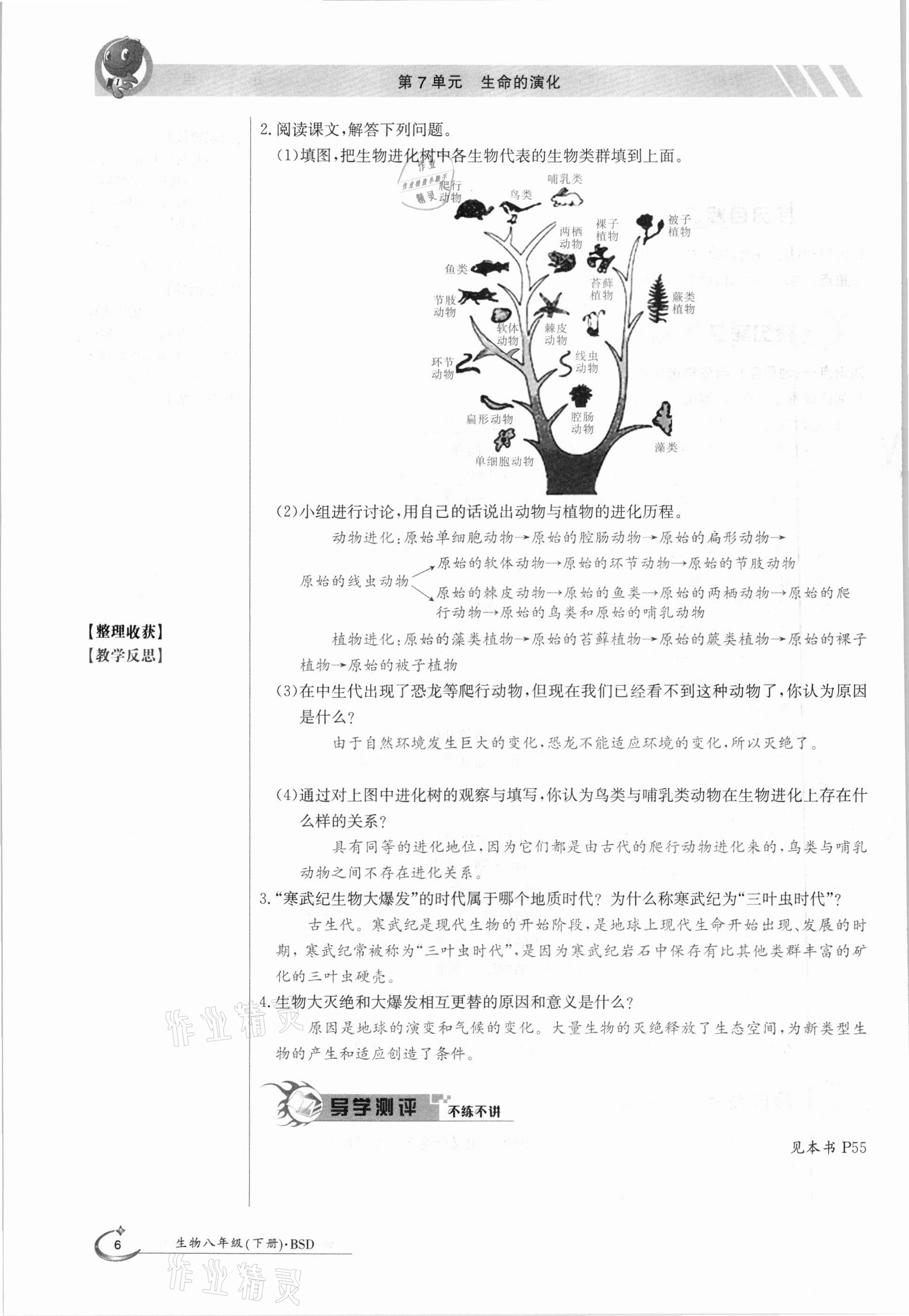 2021年金太阳导学测评八年级生物下册北师大版 参考答案第6页