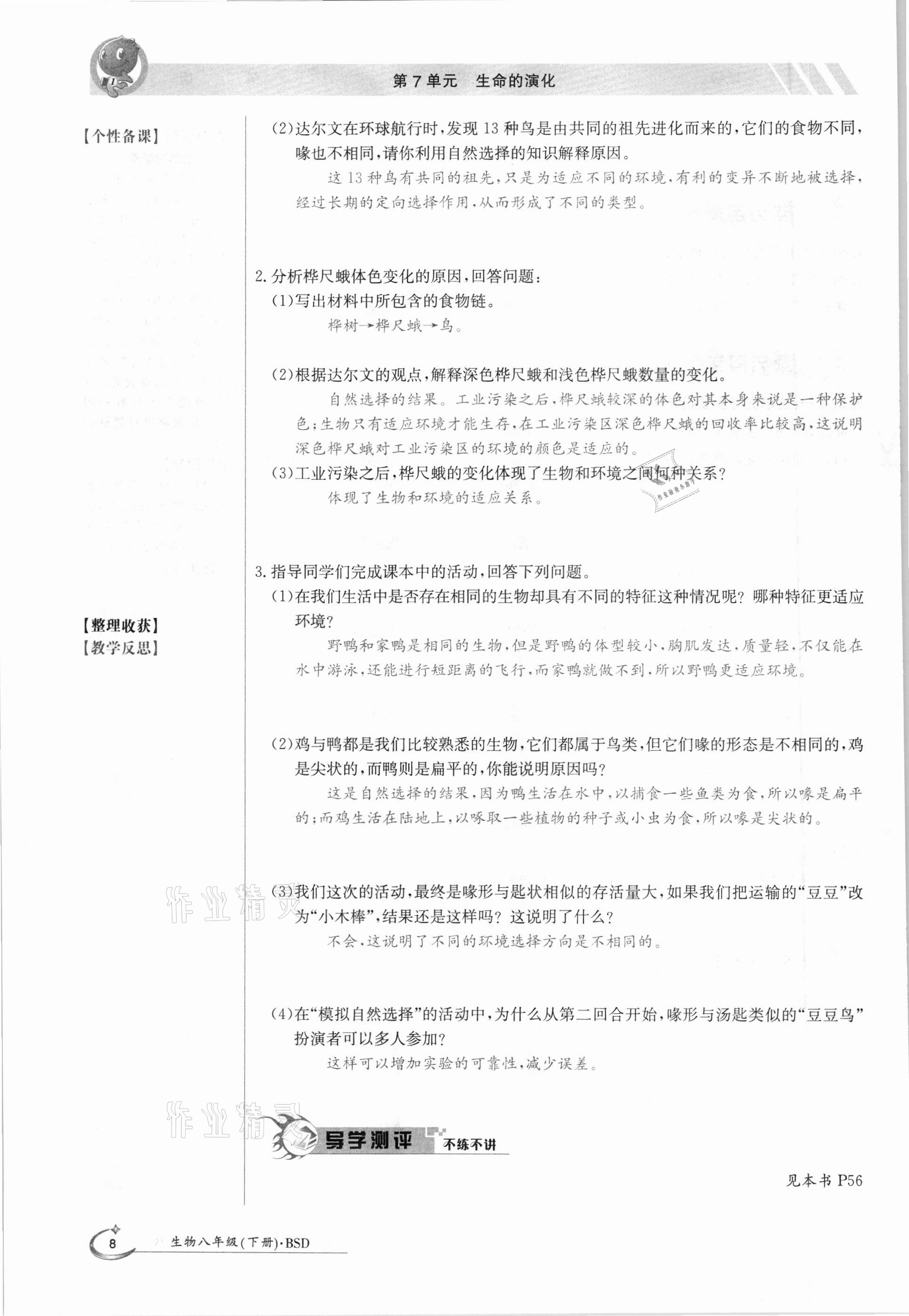 2021年金太陽導學測評八年級生物下冊北師大版 參考答案第8頁