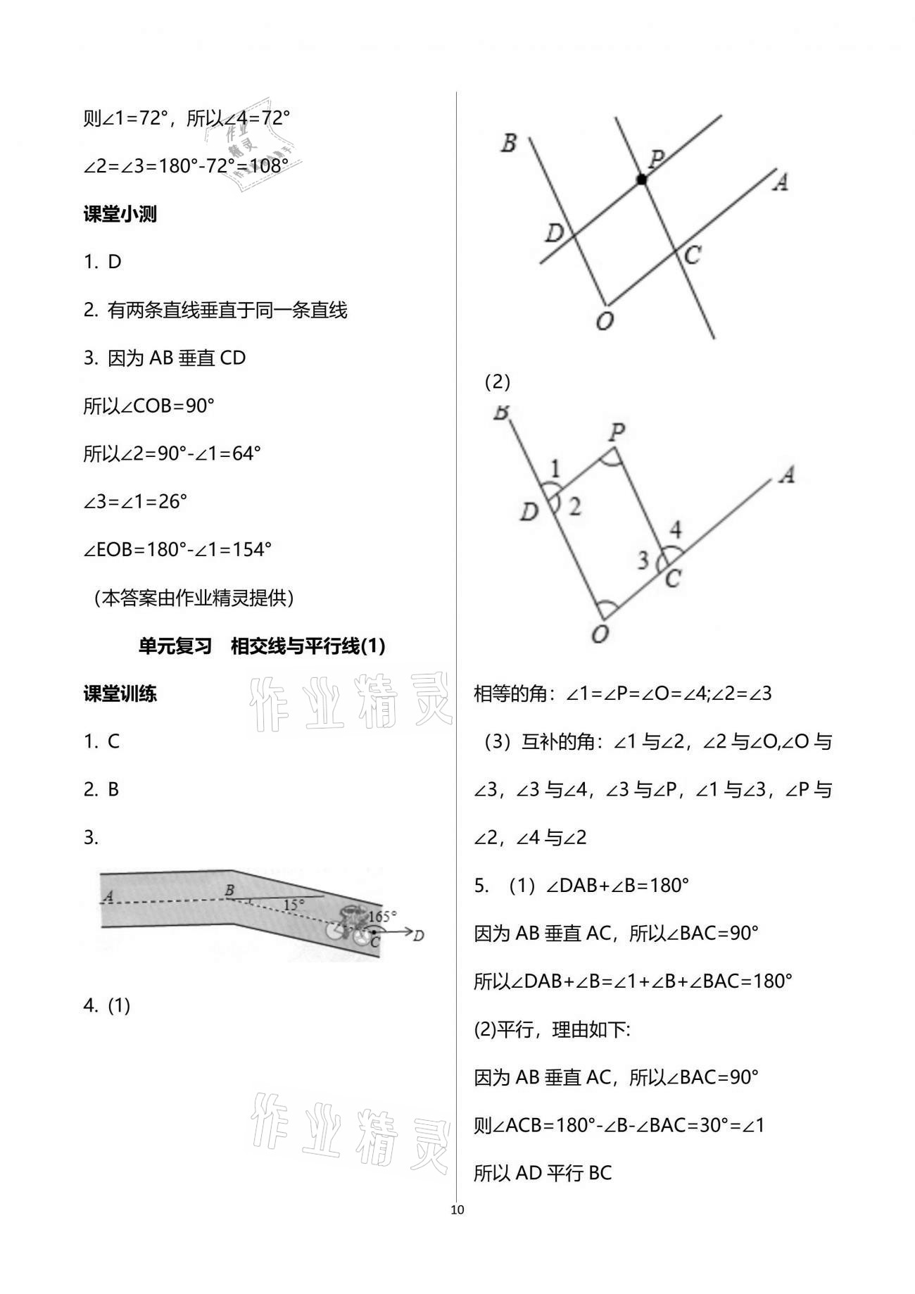 2021年初中數(shù)學(xué)活頁練習(xí)七年級下冊人教版 參考答案第10頁