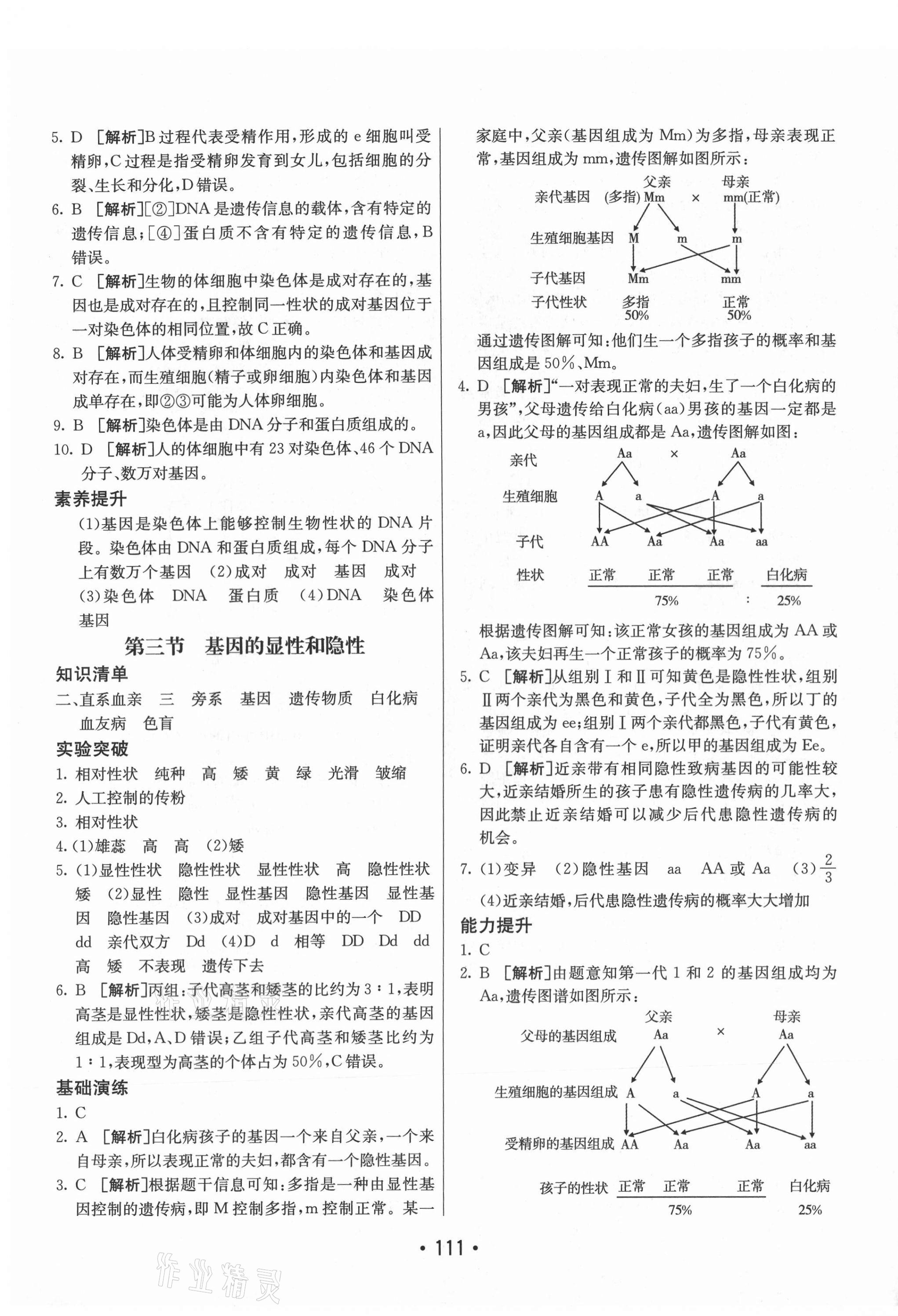 2021年同行學案學練測八年級生物下冊人教版 第7頁