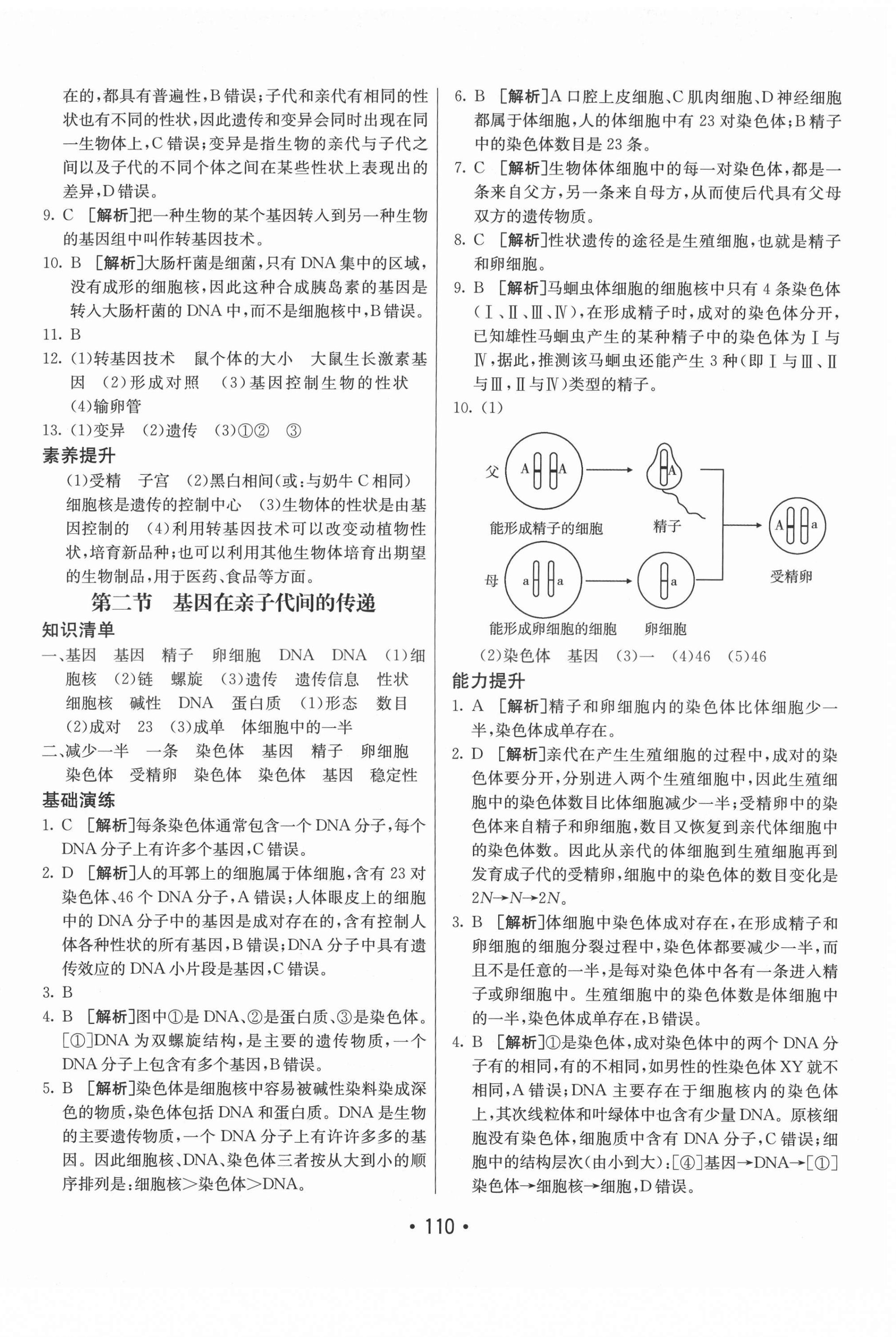 2021年同行學(xué)案學(xué)練測八年級生物下冊人教版 第6頁