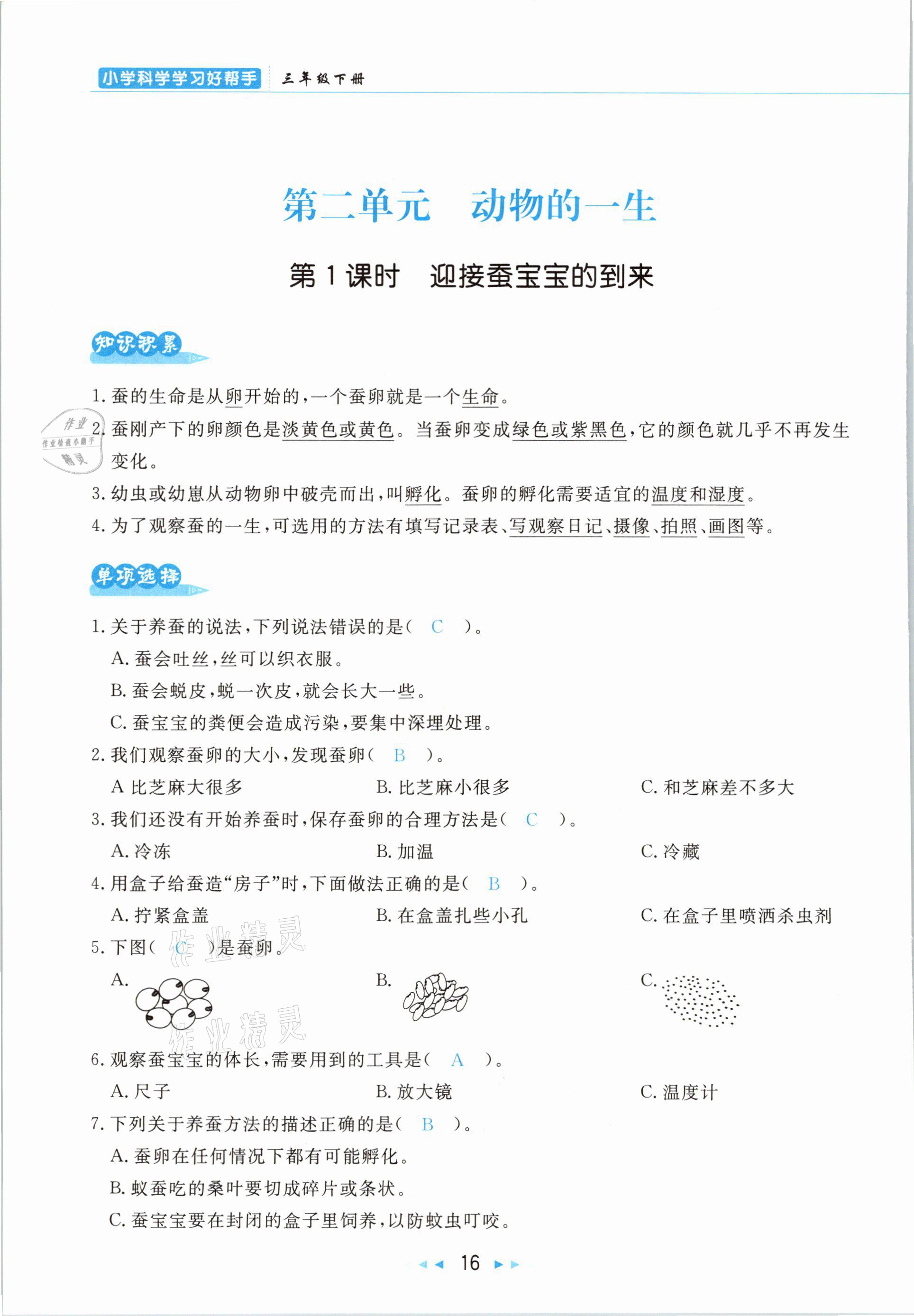 2021年小學(xué)科學(xué)學(xué)習(xí)好幫手三年級下冊教科版 參考答案第16頁